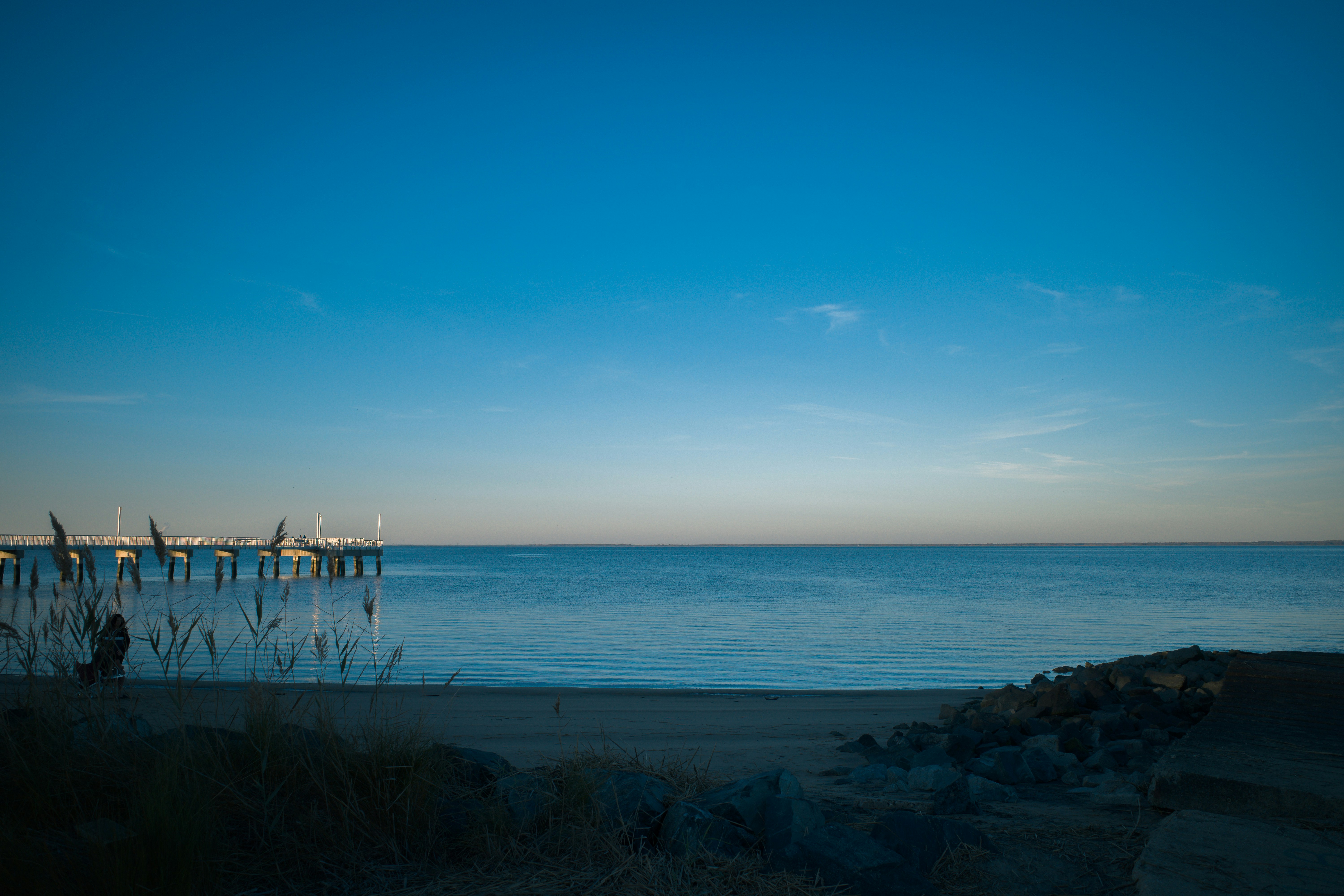 Photo by magicunsplash