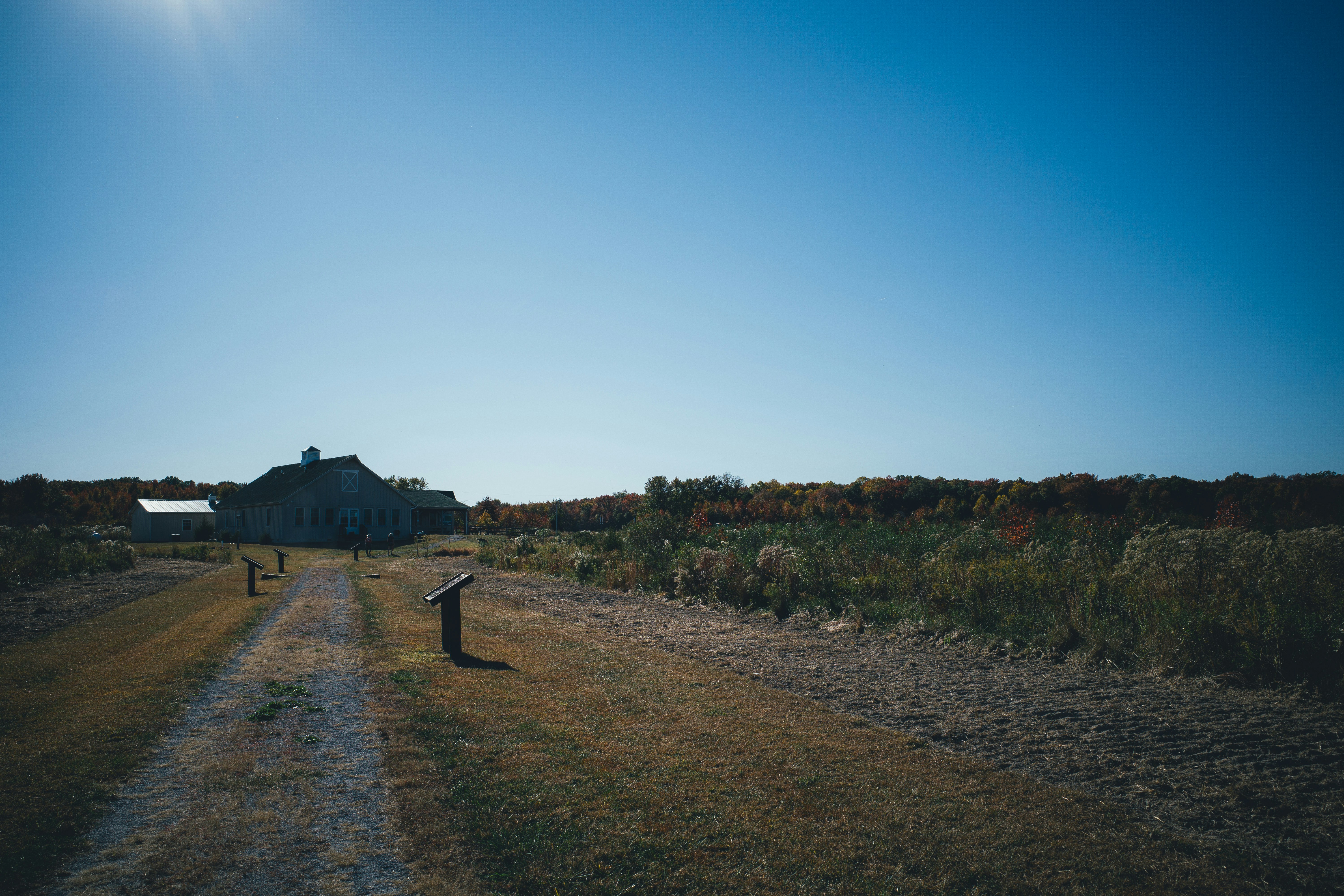 Photo by magicunsplash