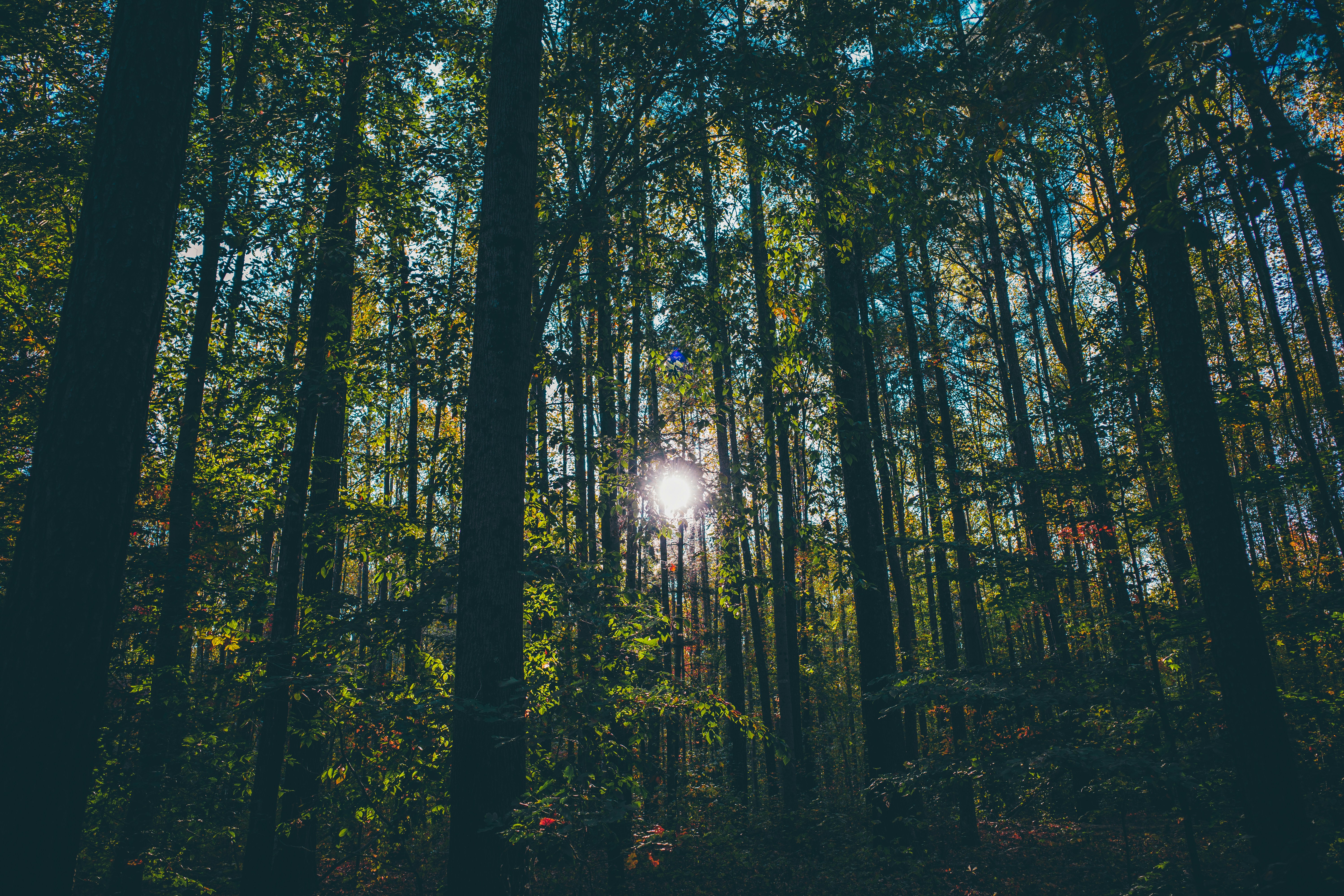 Photo by magicunsplash