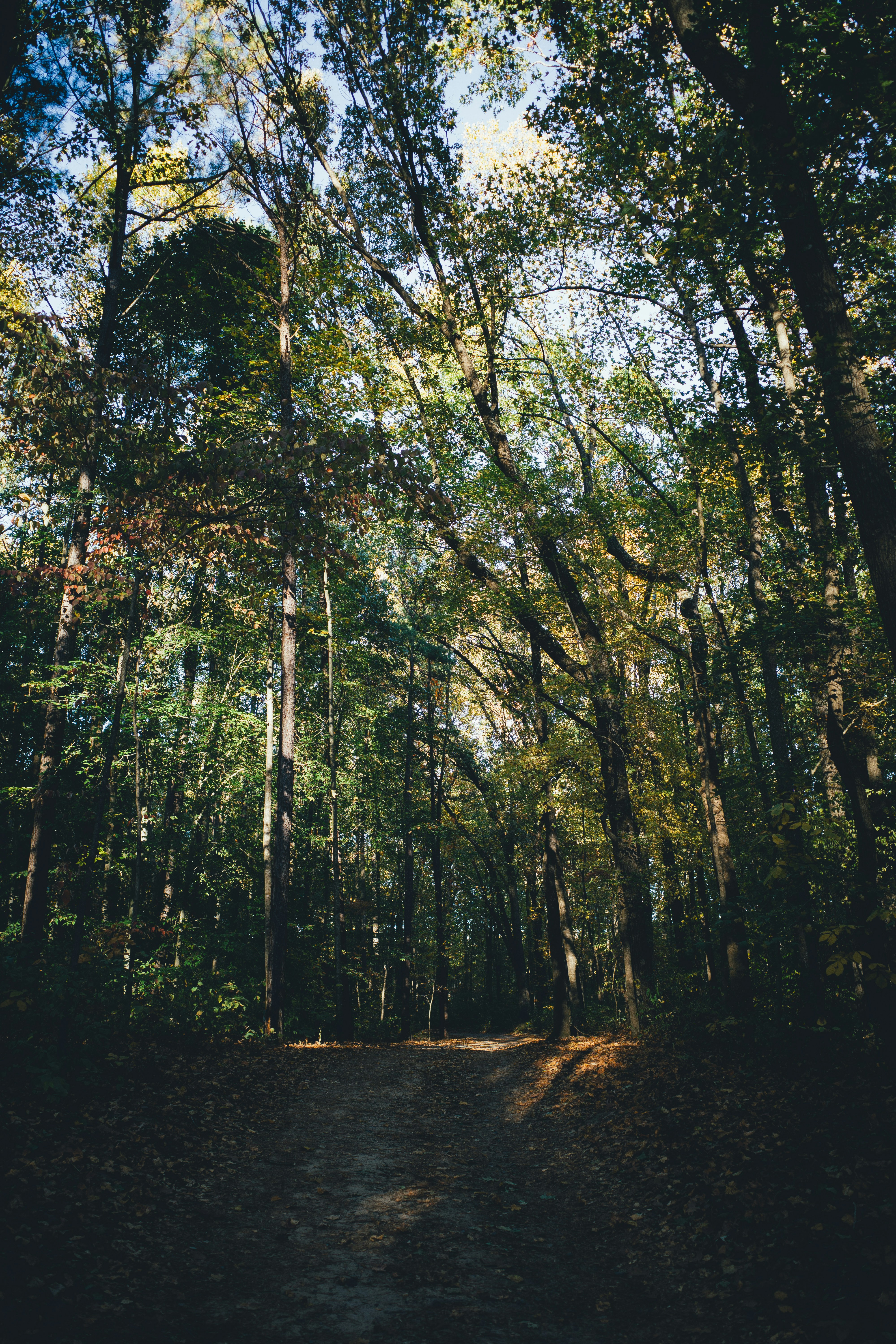 Photo by magicunsplash