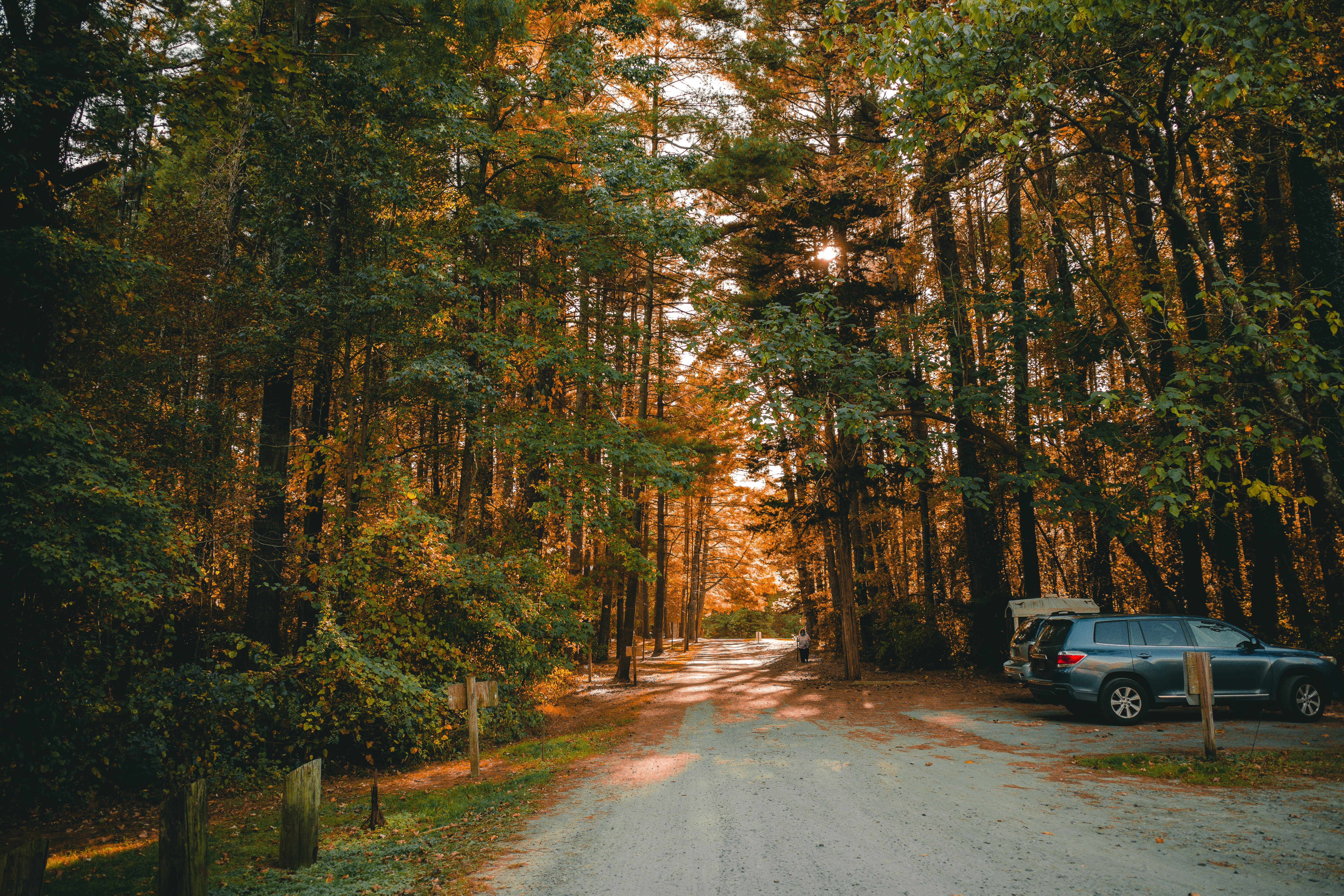 Photo by magicunsplash