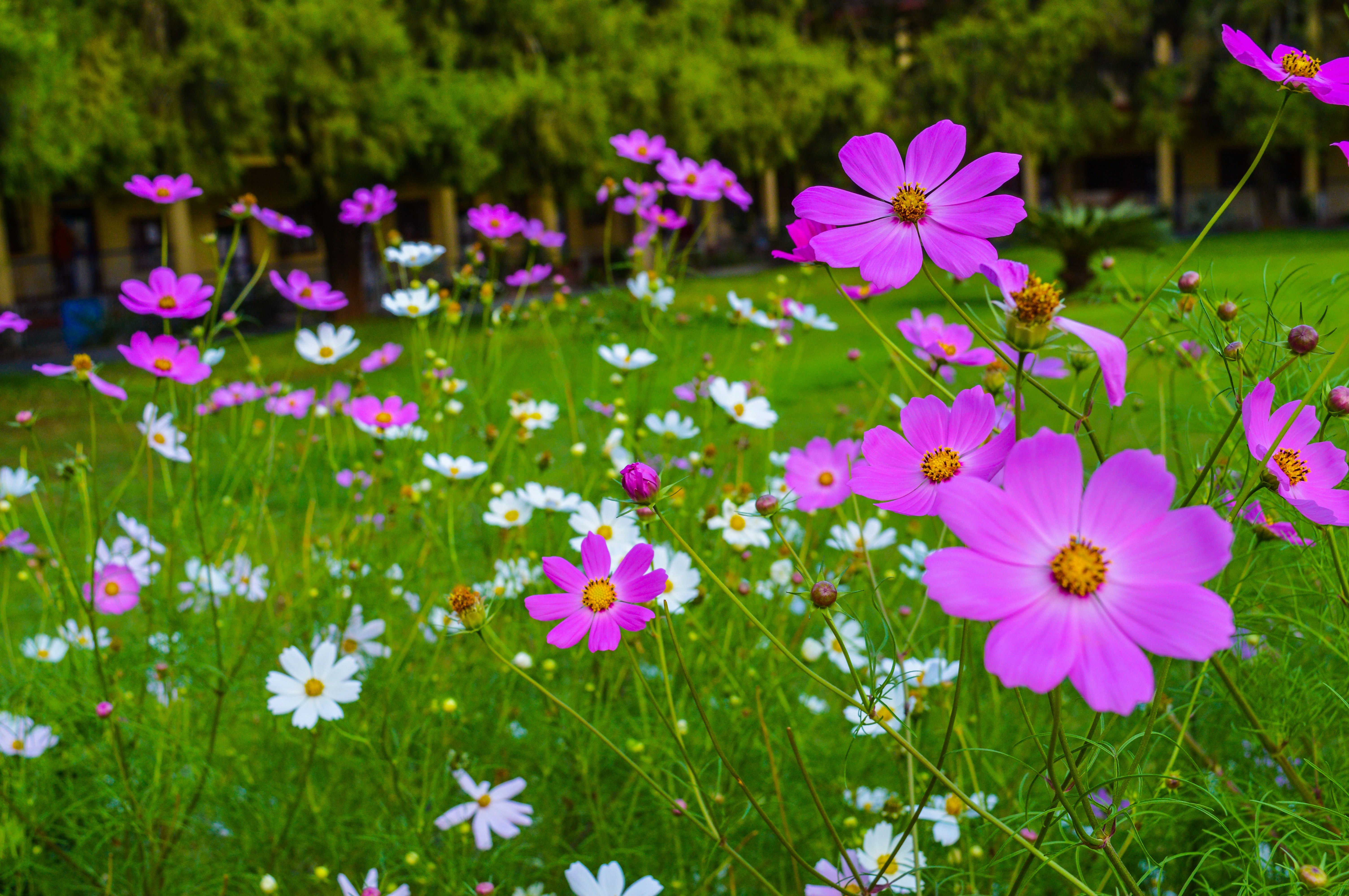 Photo by jithinvijayamohanan