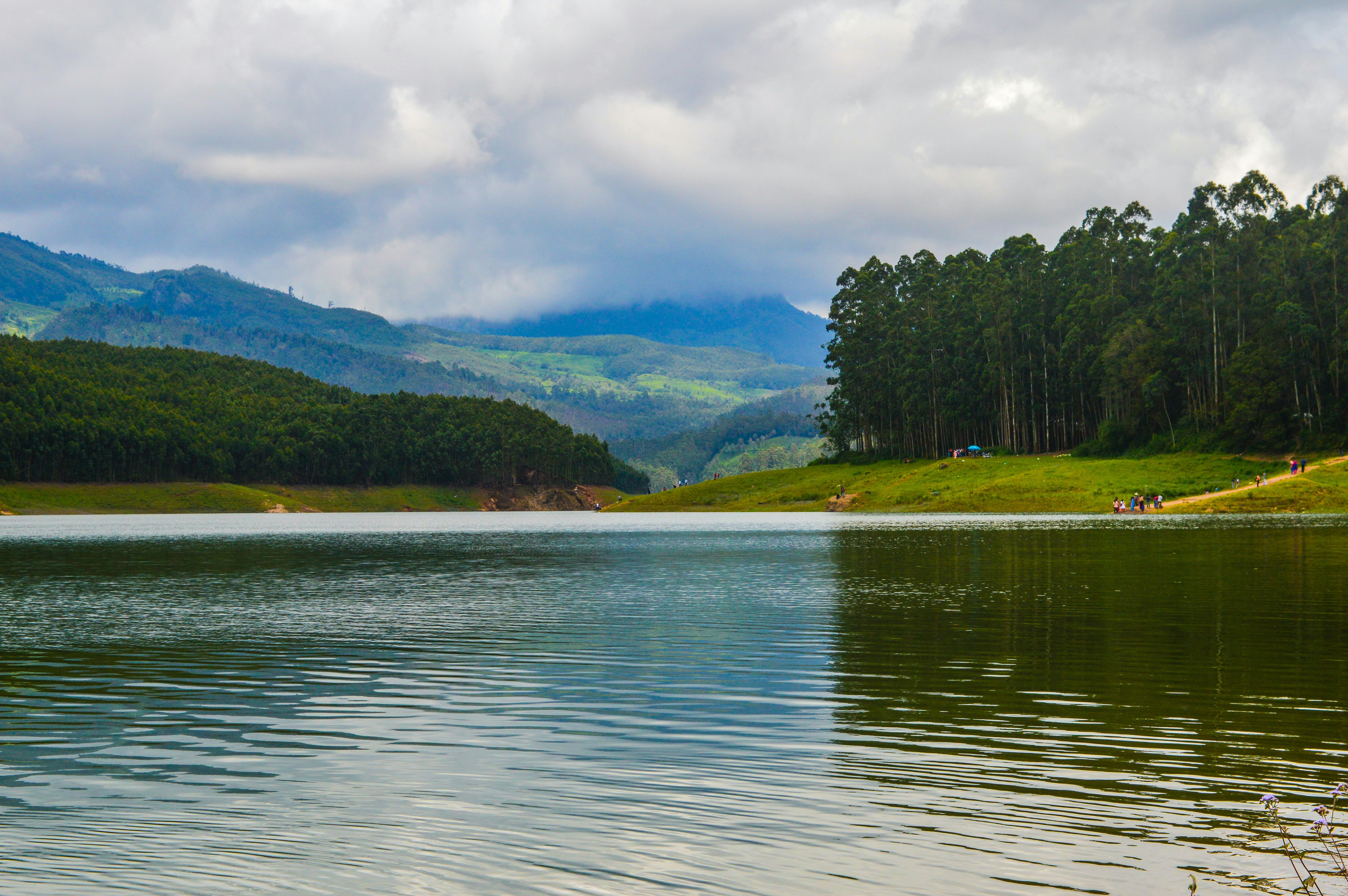 Munnar, India - None