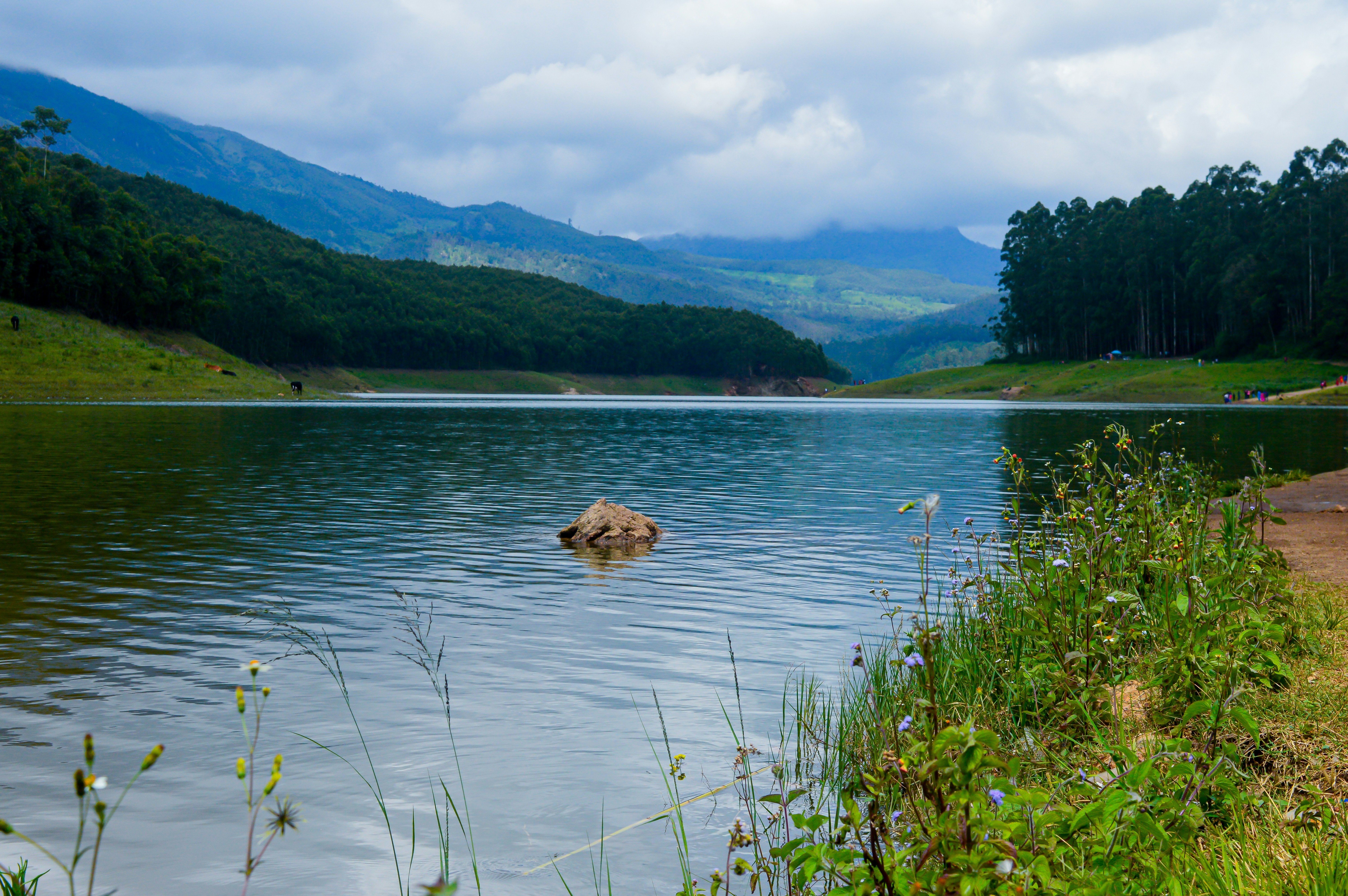 Photo by jithinvijayamohanan