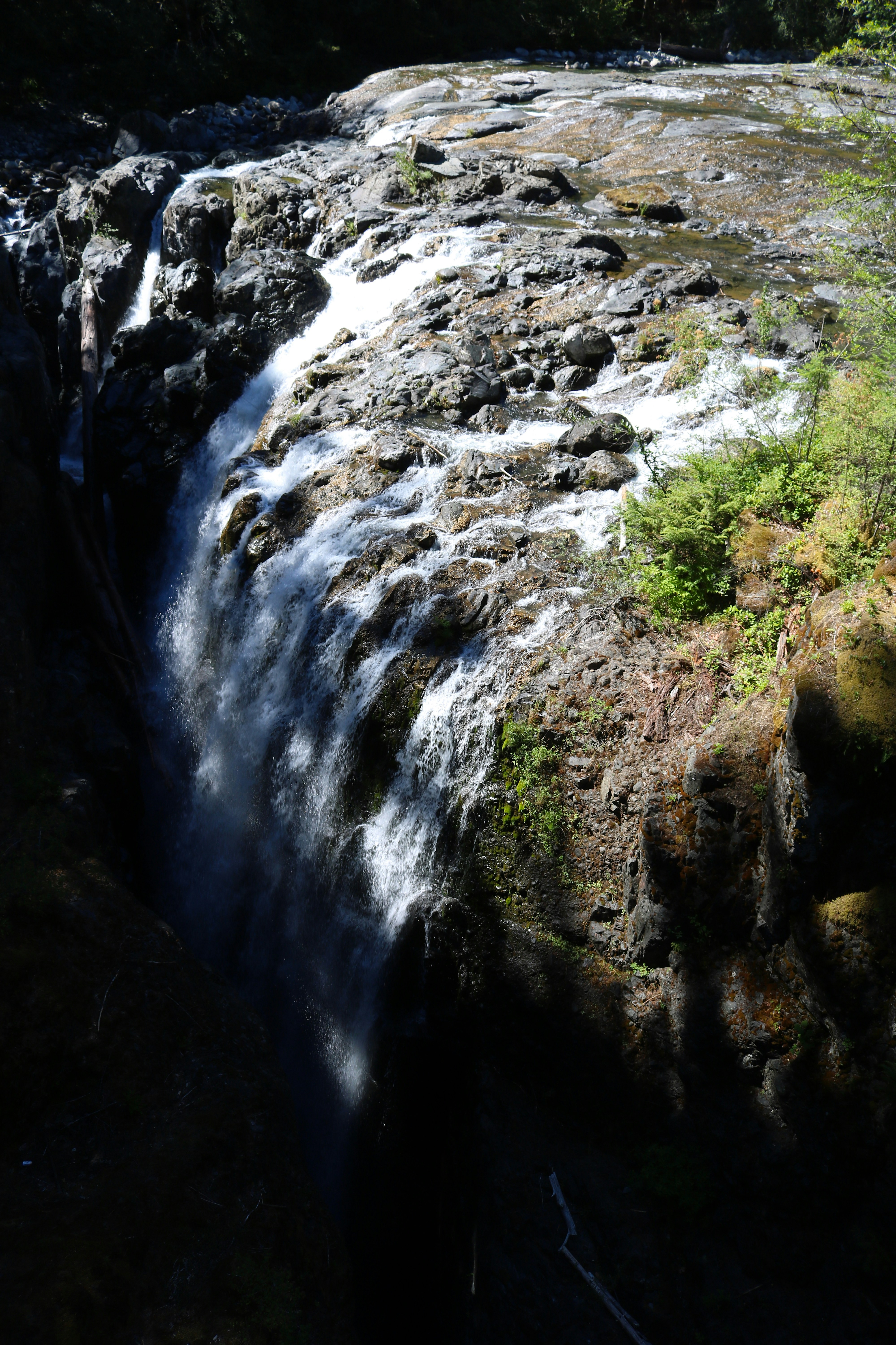 Photo by sandrinepetitgagnon