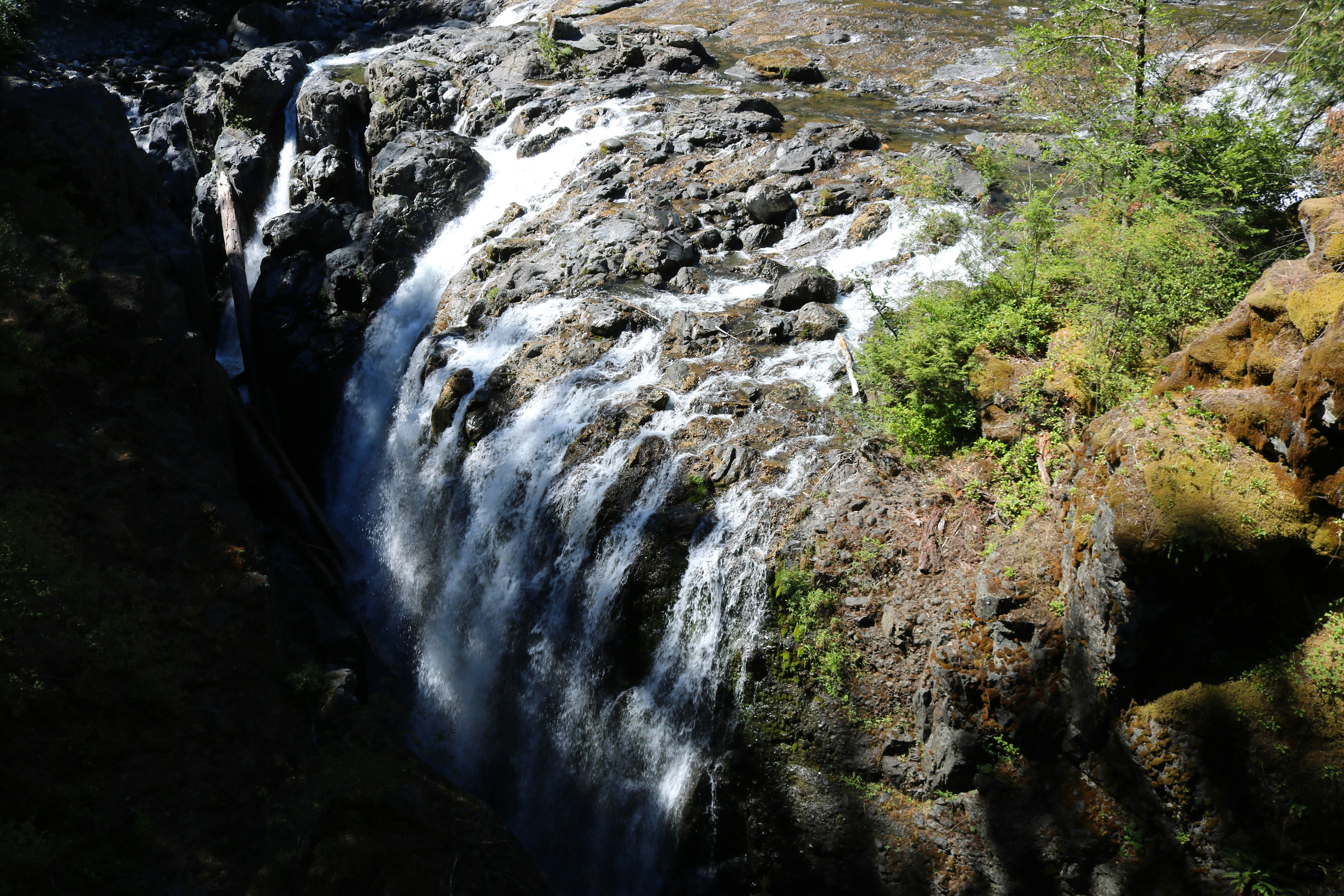 Photo by sandrinepetitgagnon