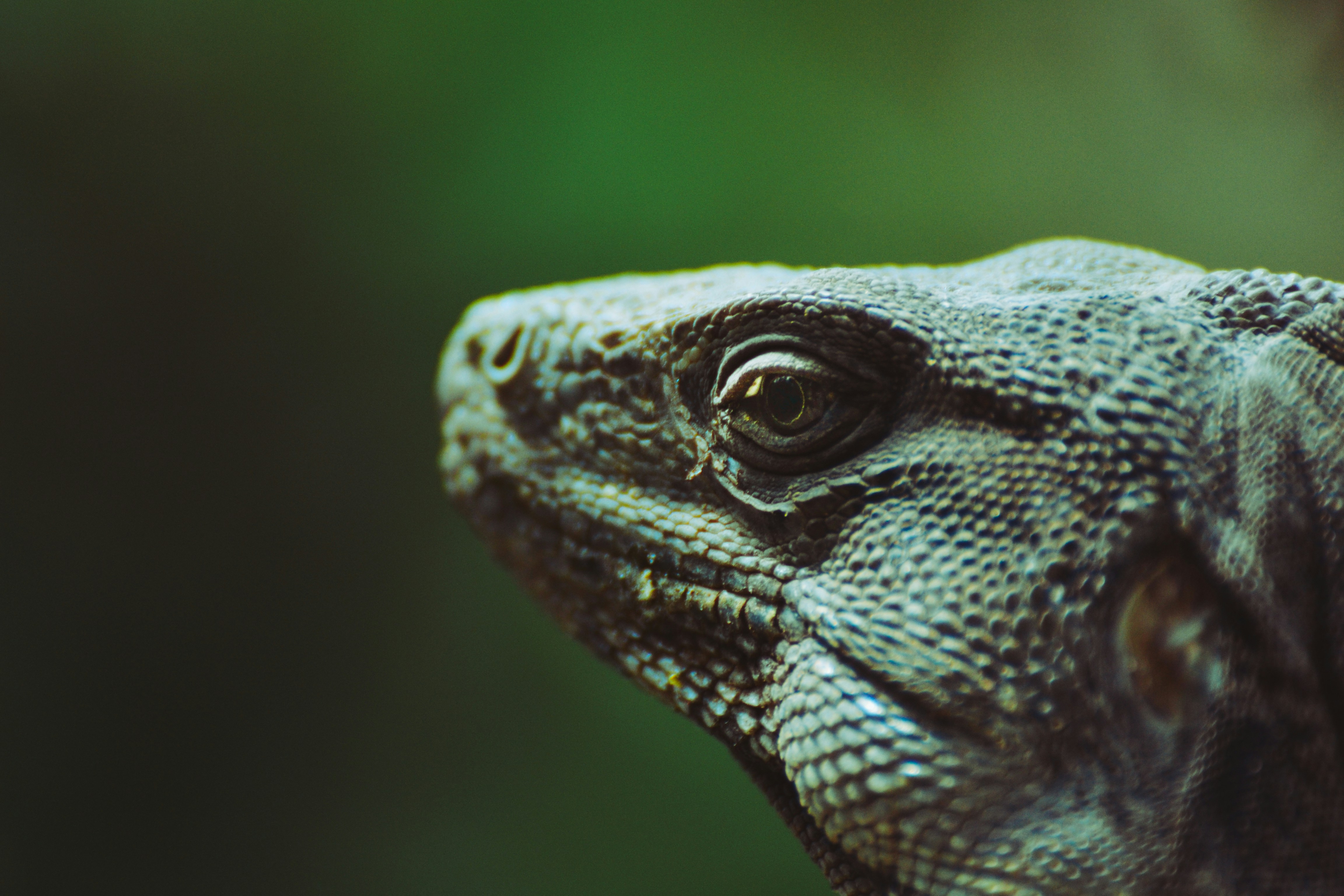 Photo by adolfofelix