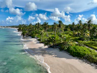 An aerial view of a beach with palm trees