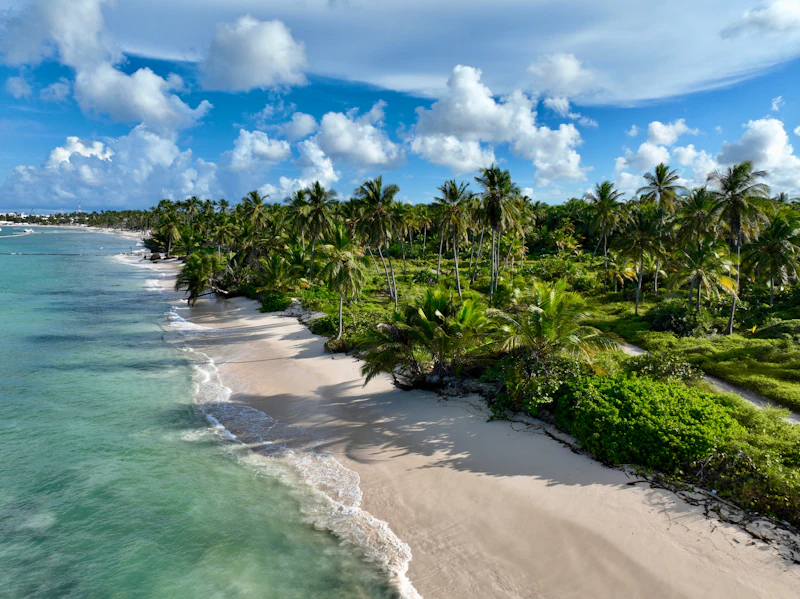 Top Sports Bars in Punta Cana to Watch the Match With the Crowd