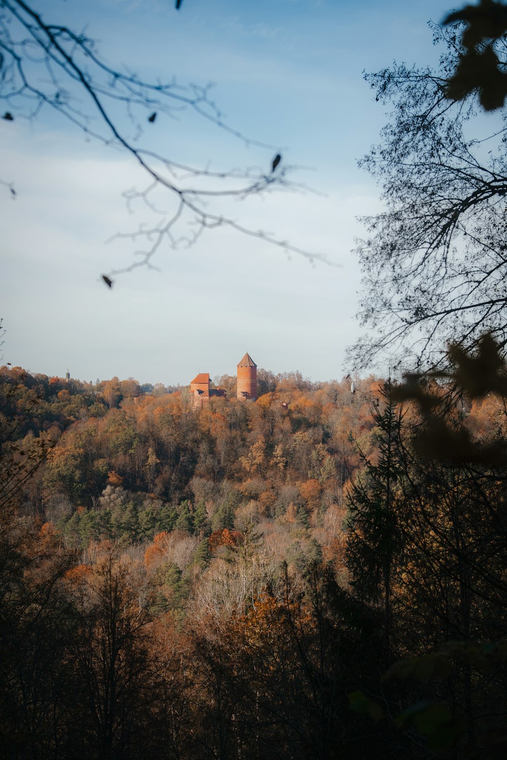 Vale do Gauja · outono