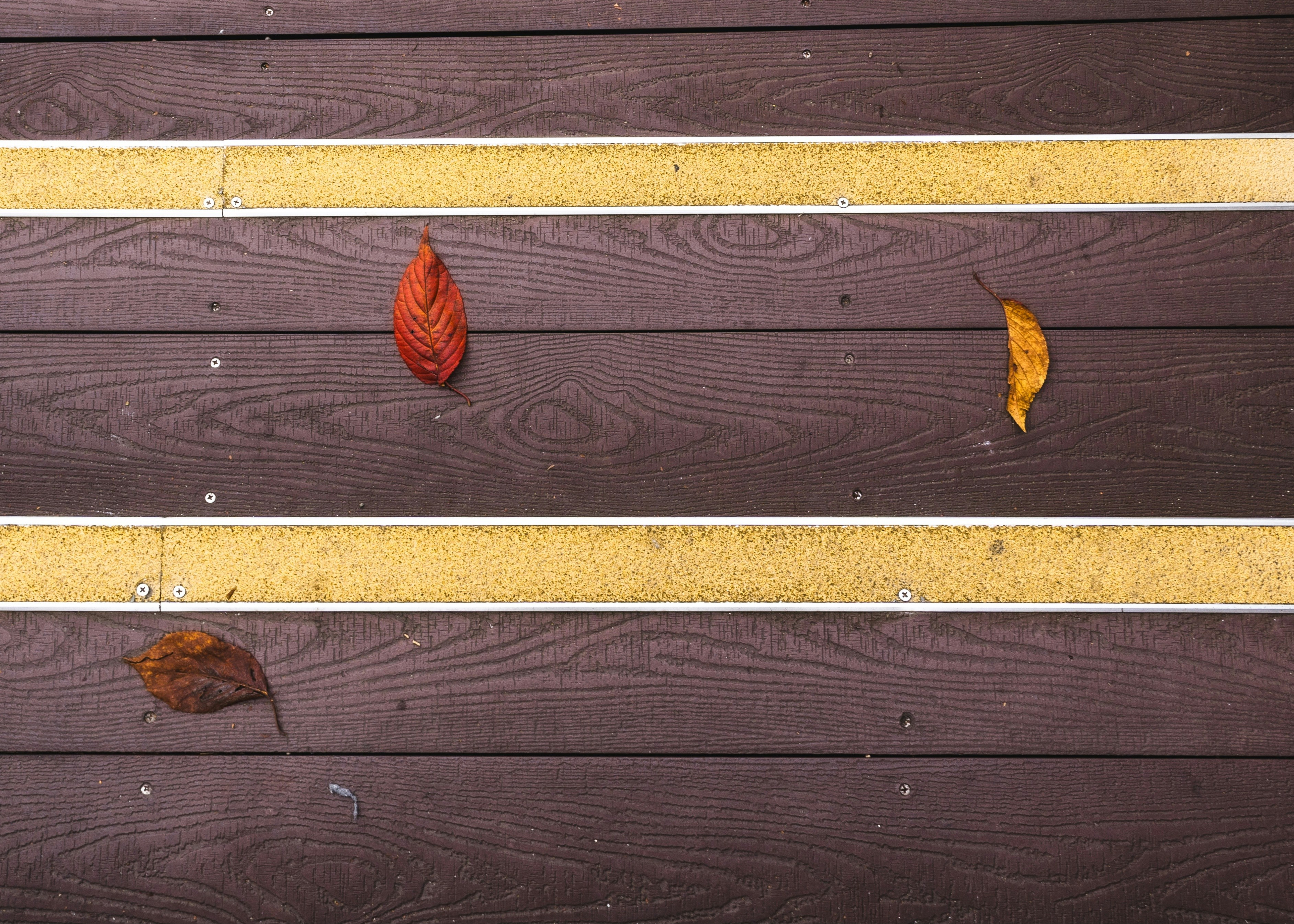Why Your Marketing Budget Should Shift Seasonally (And How to Do It Right) – A close up of a bench with leaves on it