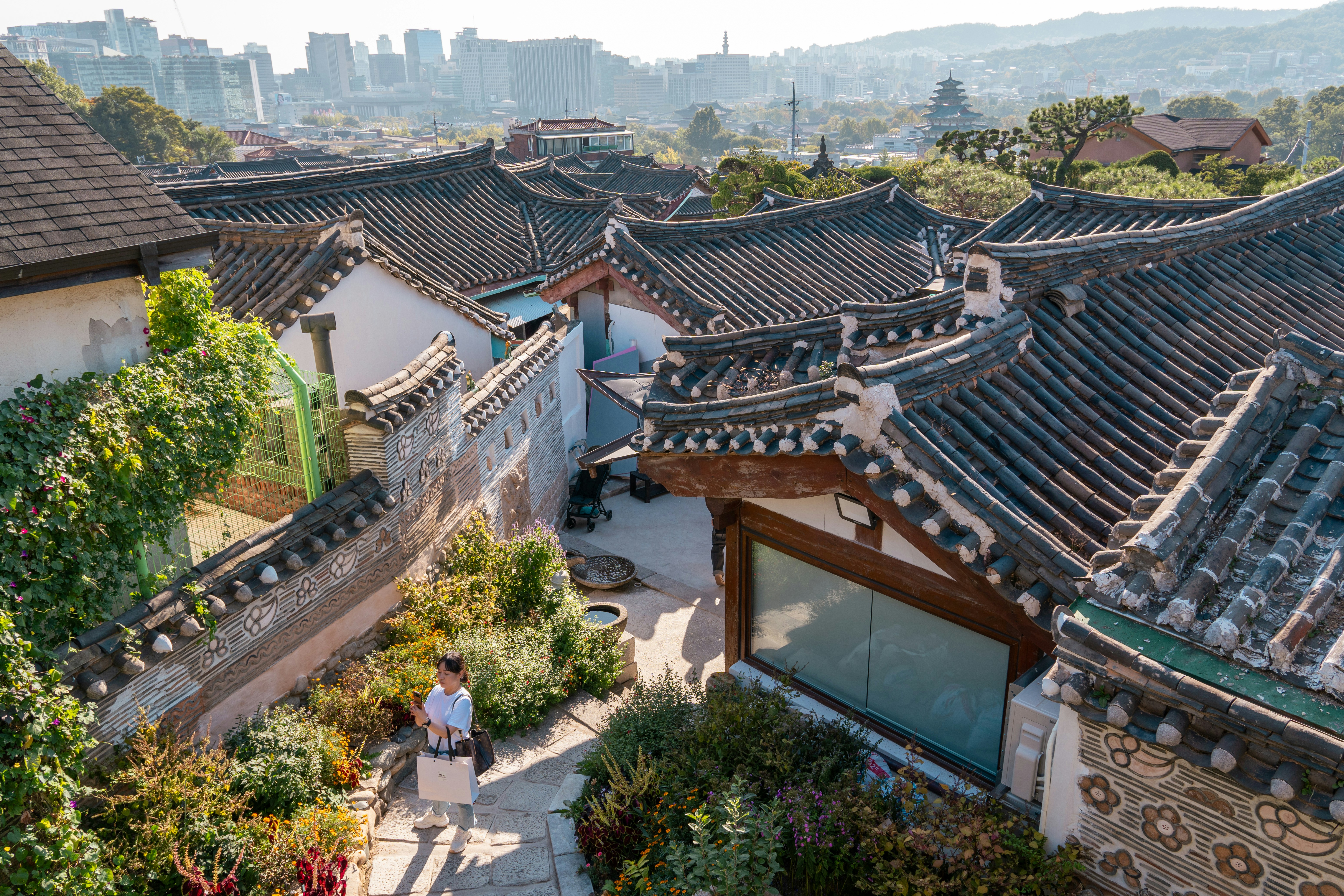 Photo by shibinjoseph