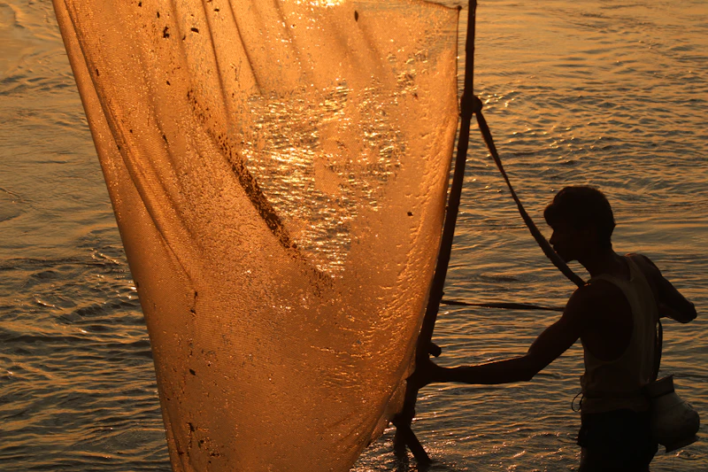 Best Pubs in Gopalpur: Where Locals Actually Drink