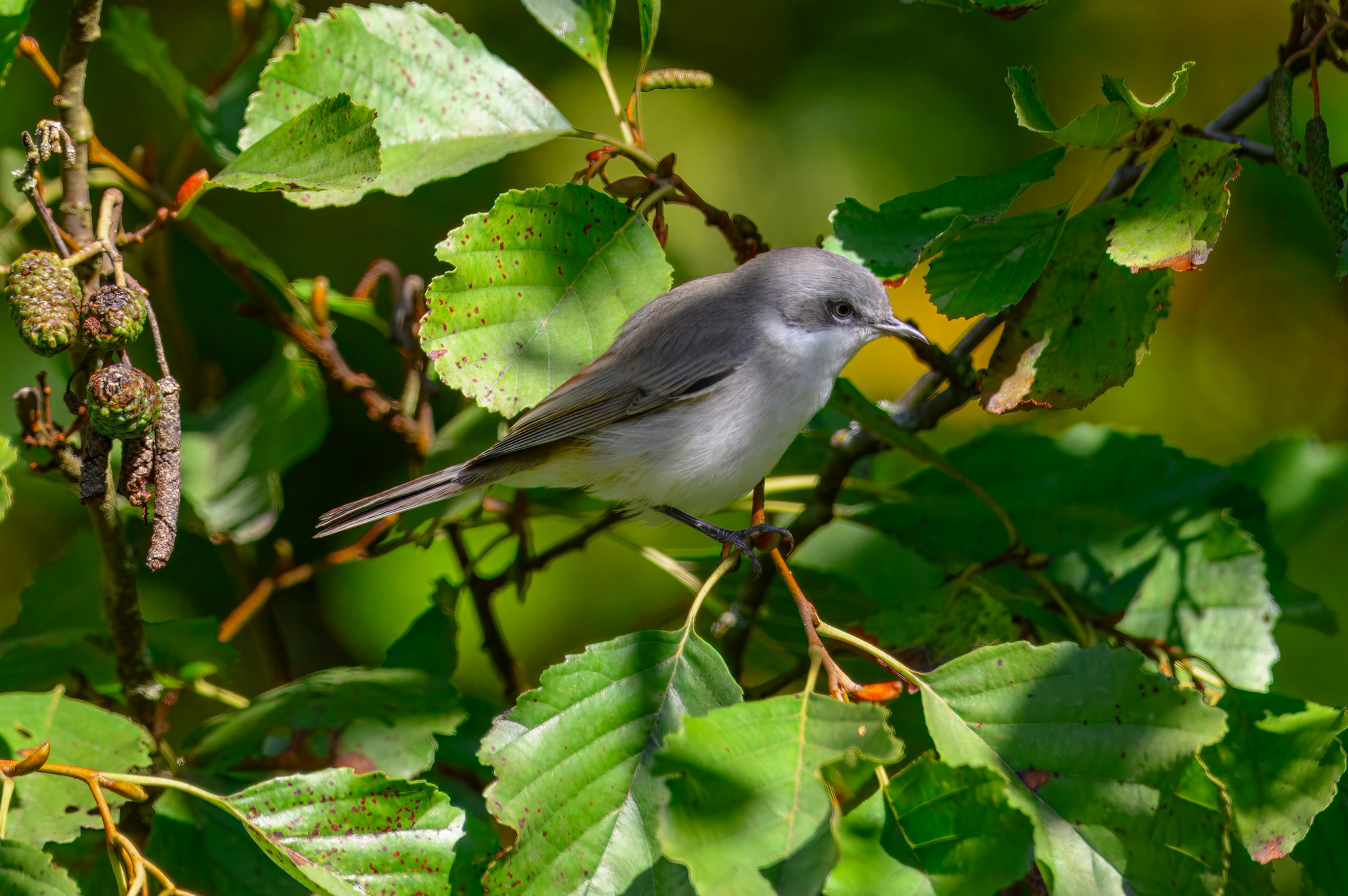 Numerologicznie 18. Maj