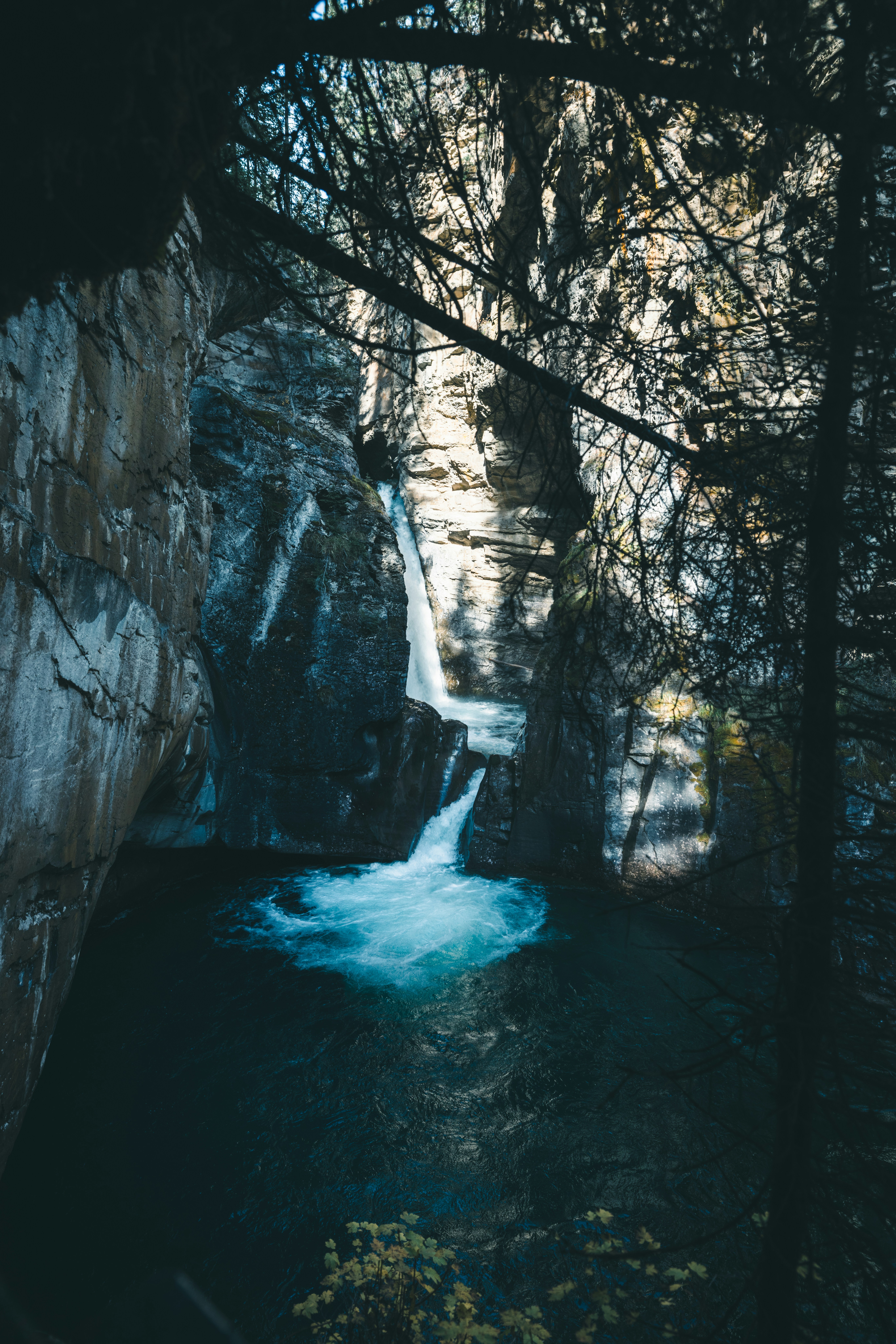 A waterfall in the middle of a forest