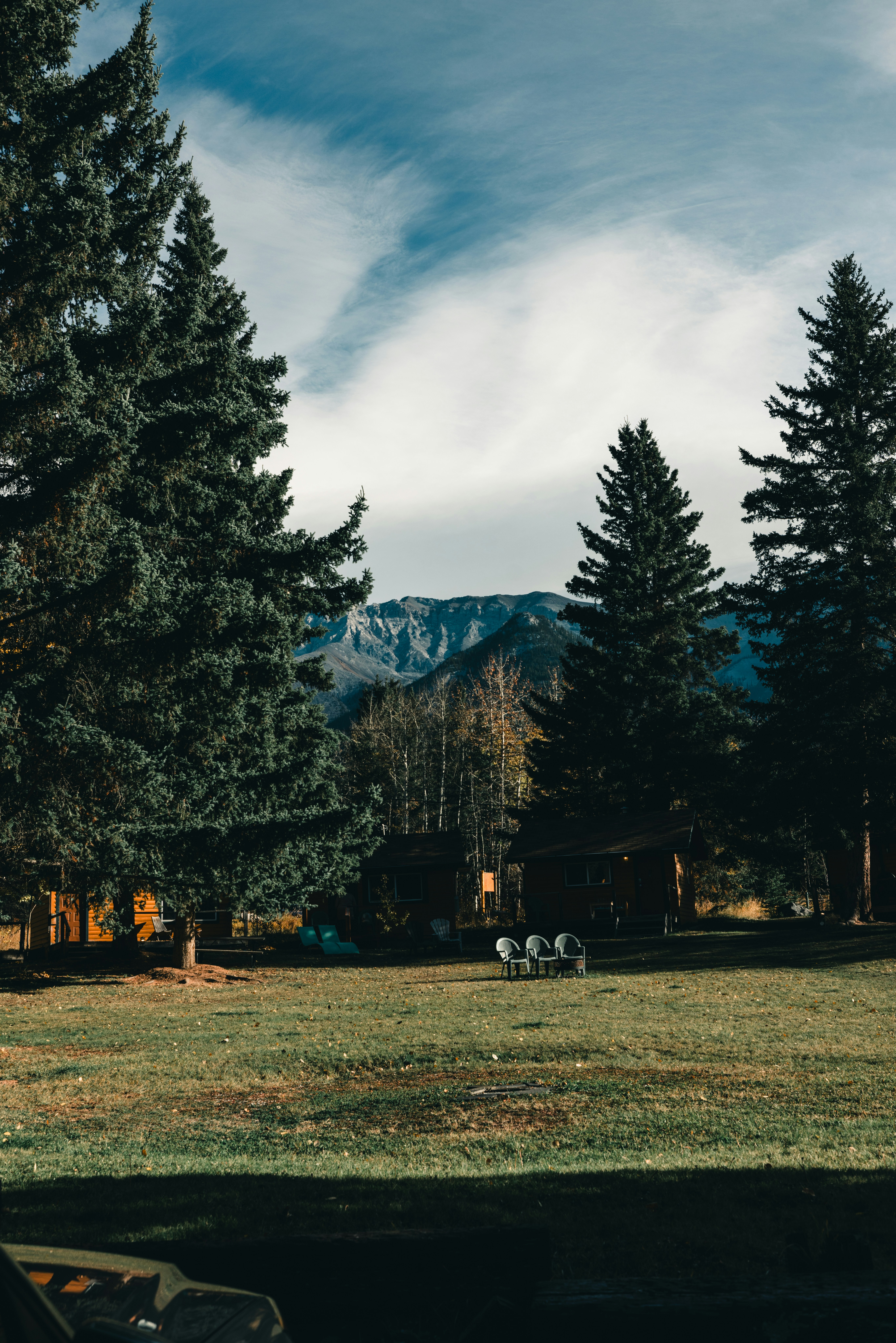 A car parked in front of a forest with mountains in the background