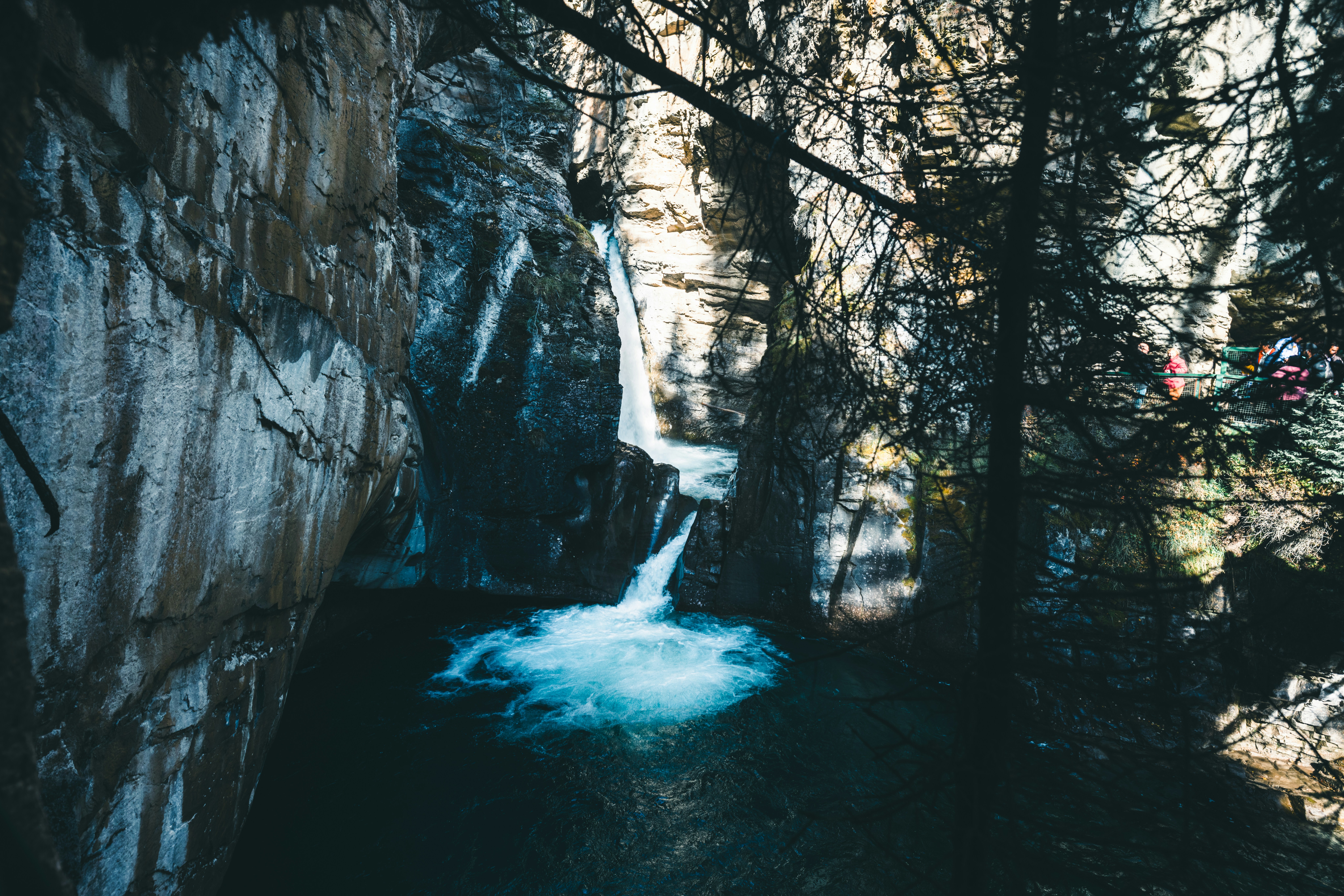 A stream running through a forest filled with trees