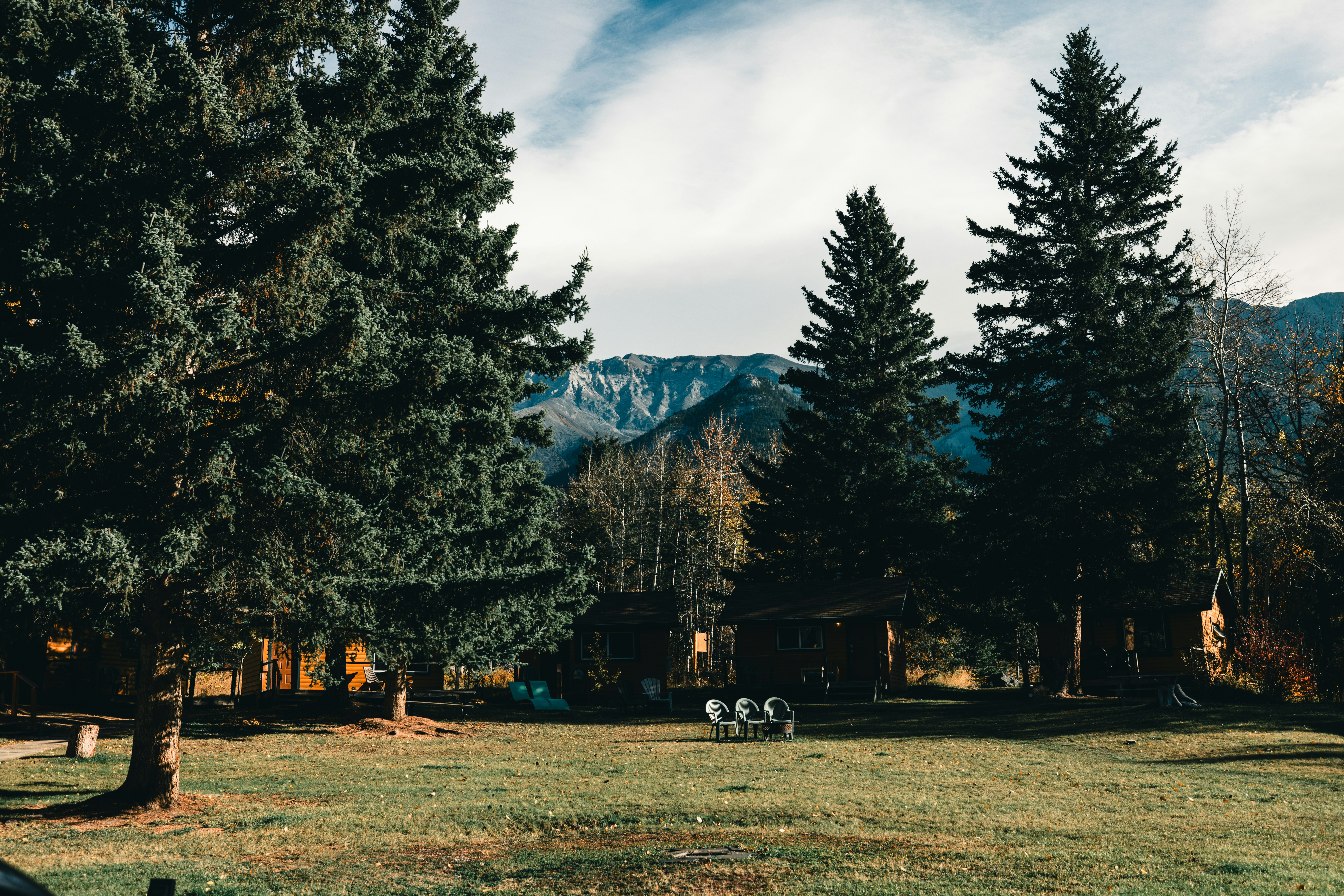 A grassy field with trees and mountains in the background