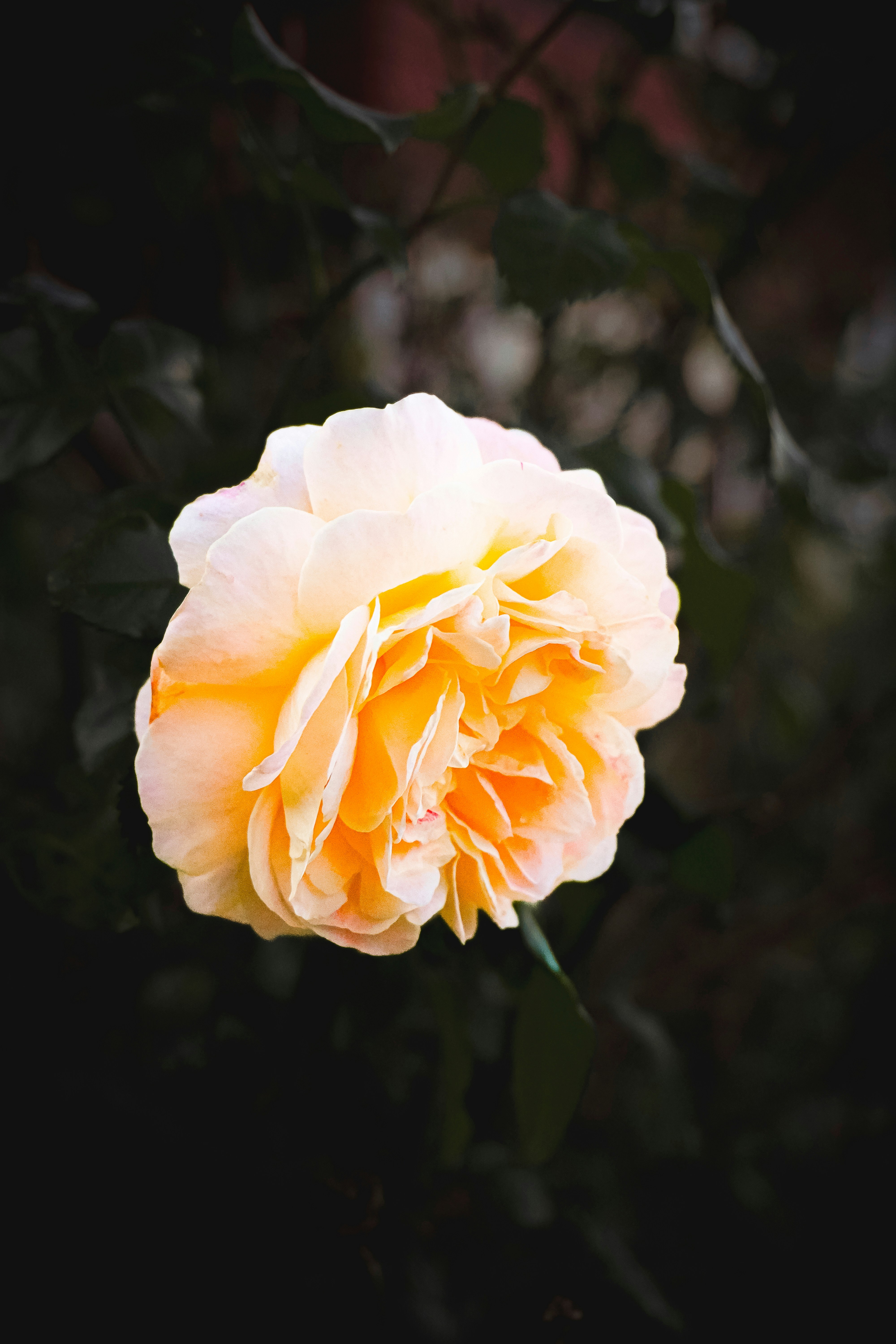 Photo by sens_frames