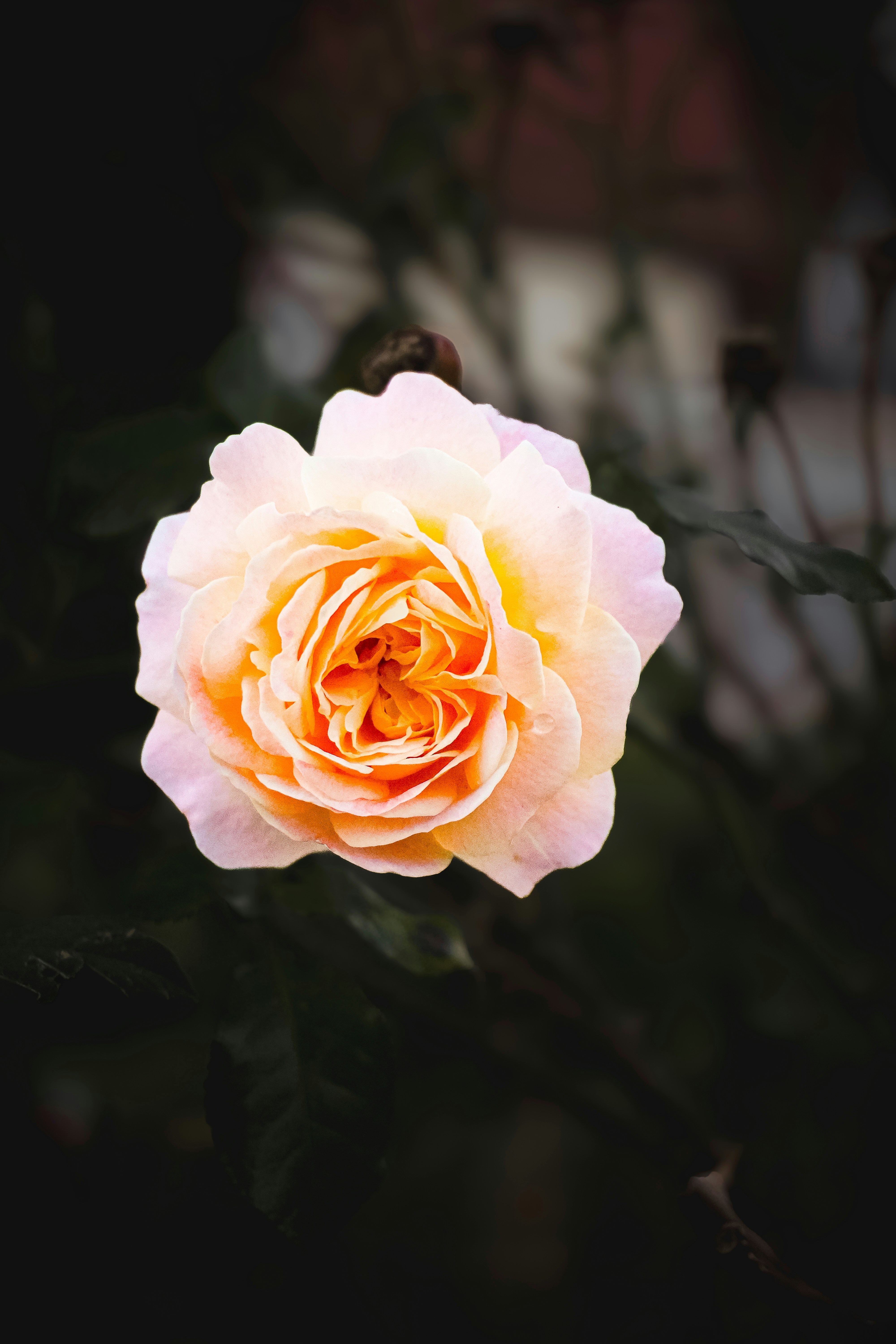 Photo by sens_frames