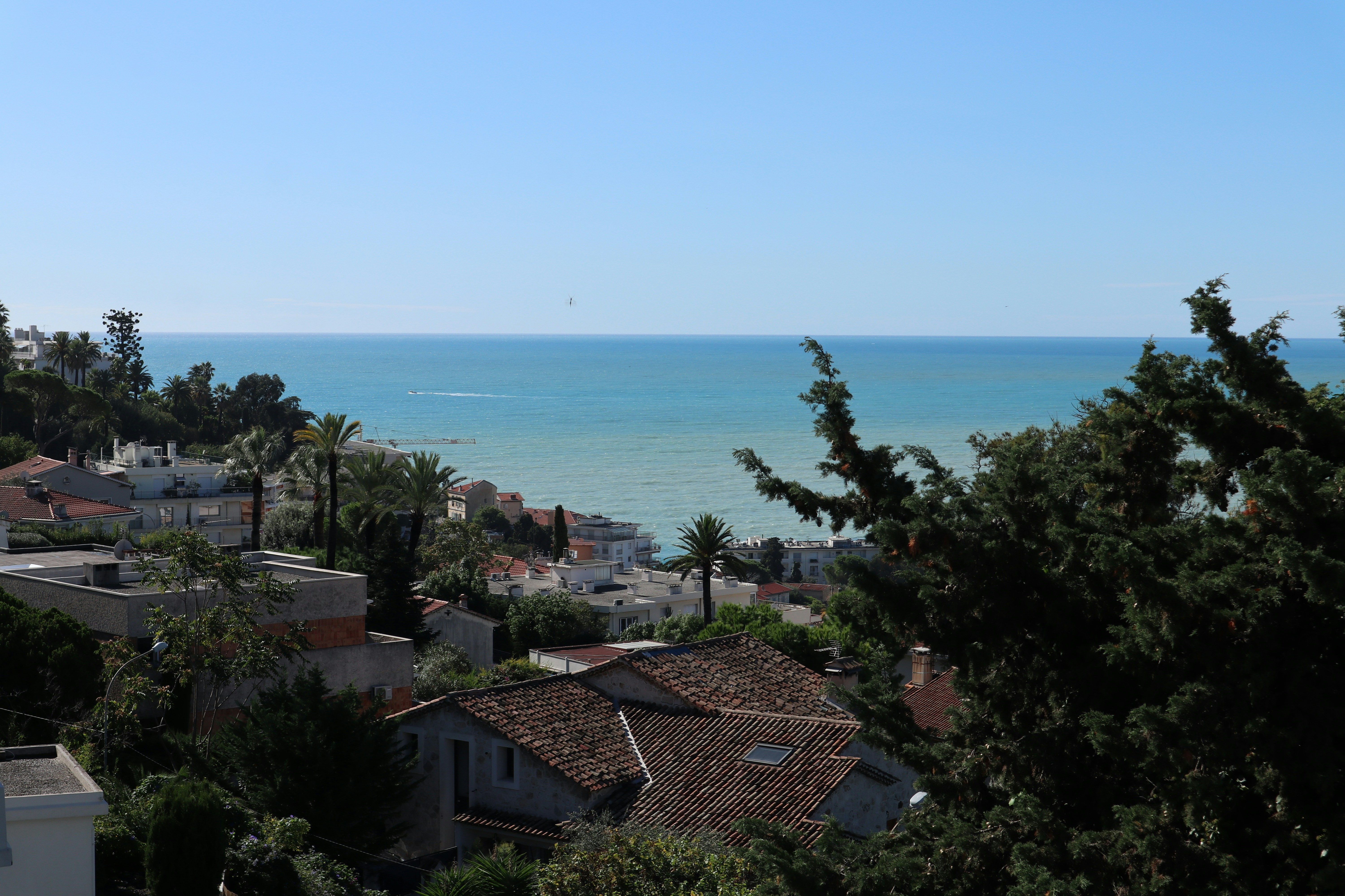 A view of the ocean from a hill top