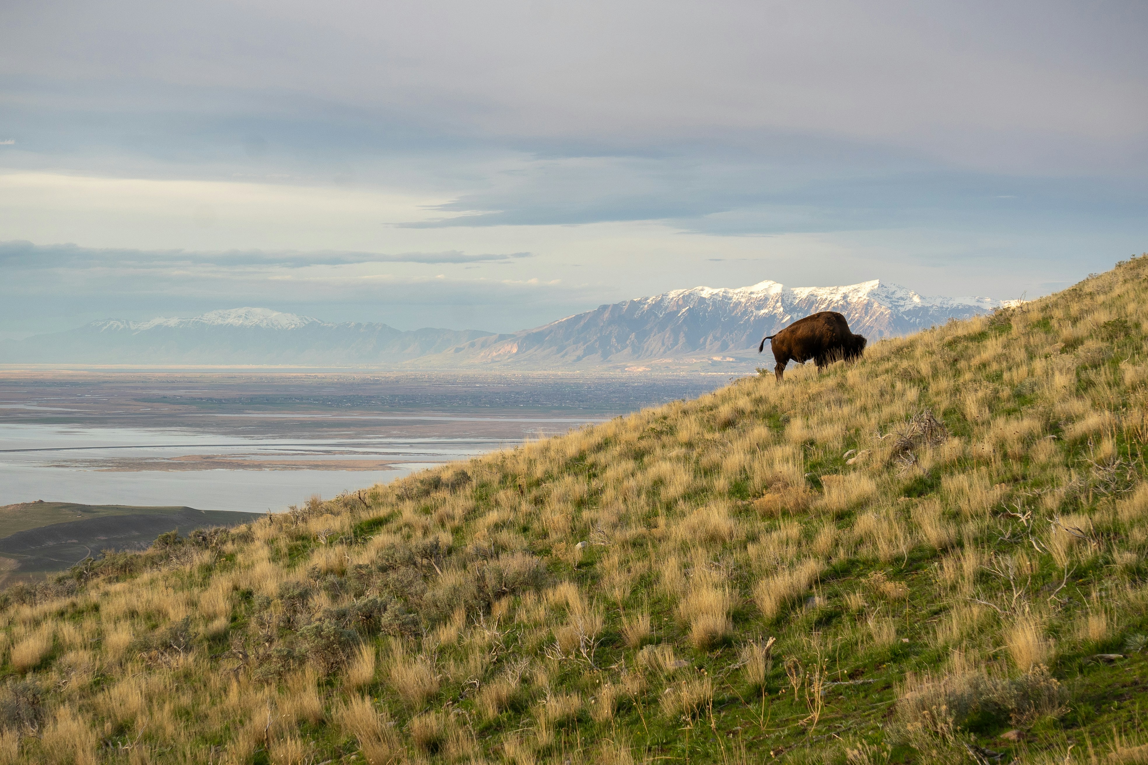 Utah’s $30 Million Bankruptcy Acquisition of "Certain" US Magnesium Assets Carries a Superfund Liability Likely 3X Higher or More