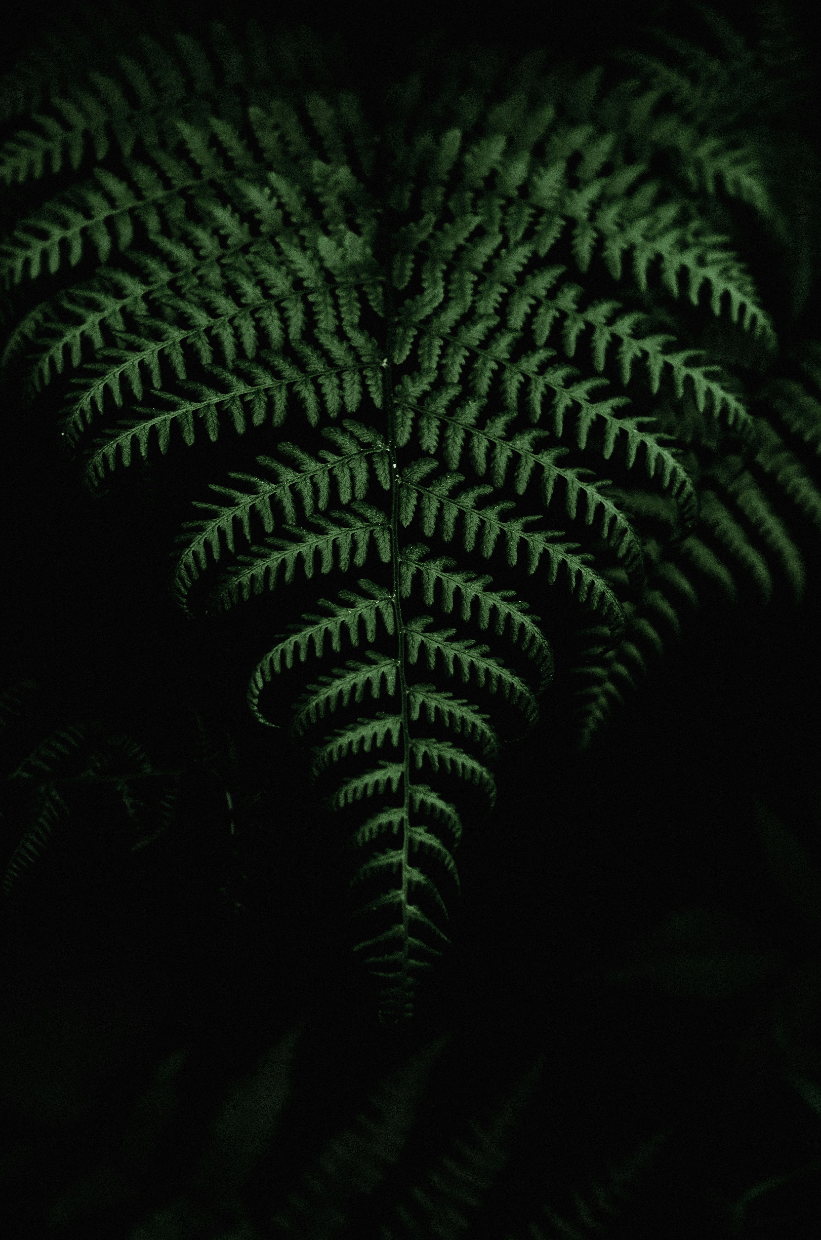 Photo by quinnaebiphoto