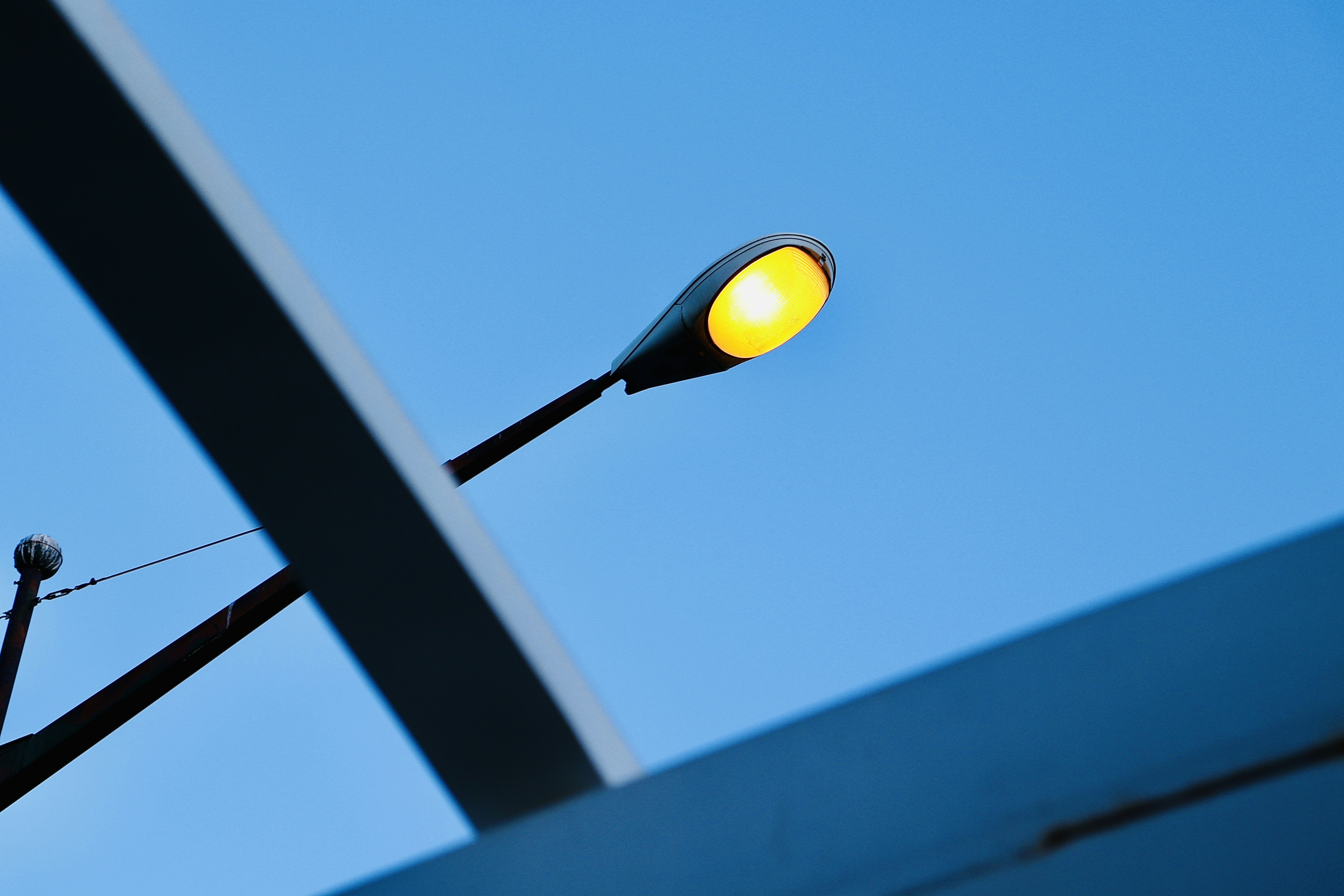 Photo by sevda_afshar