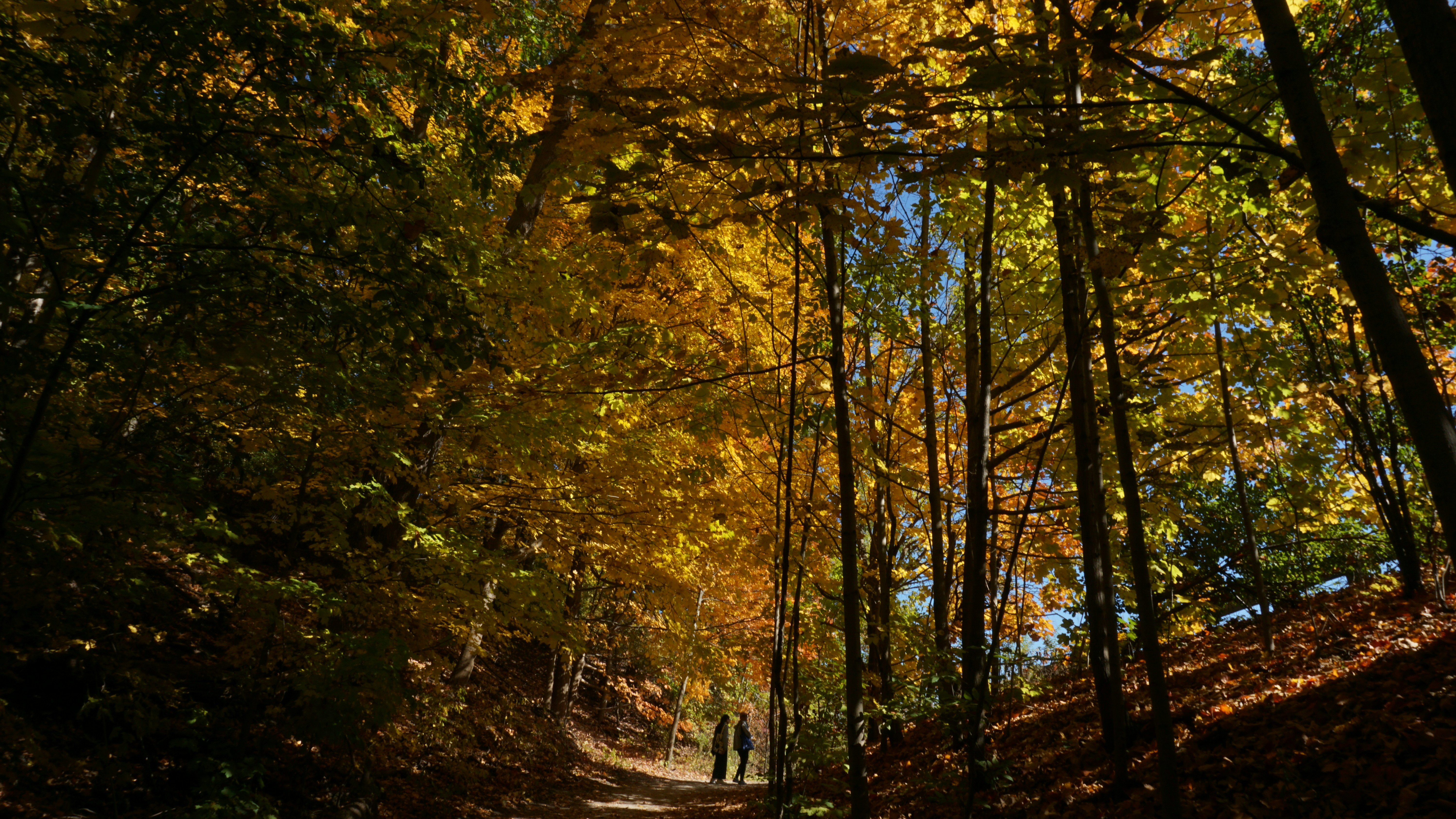 Photo by azharmalbaryy