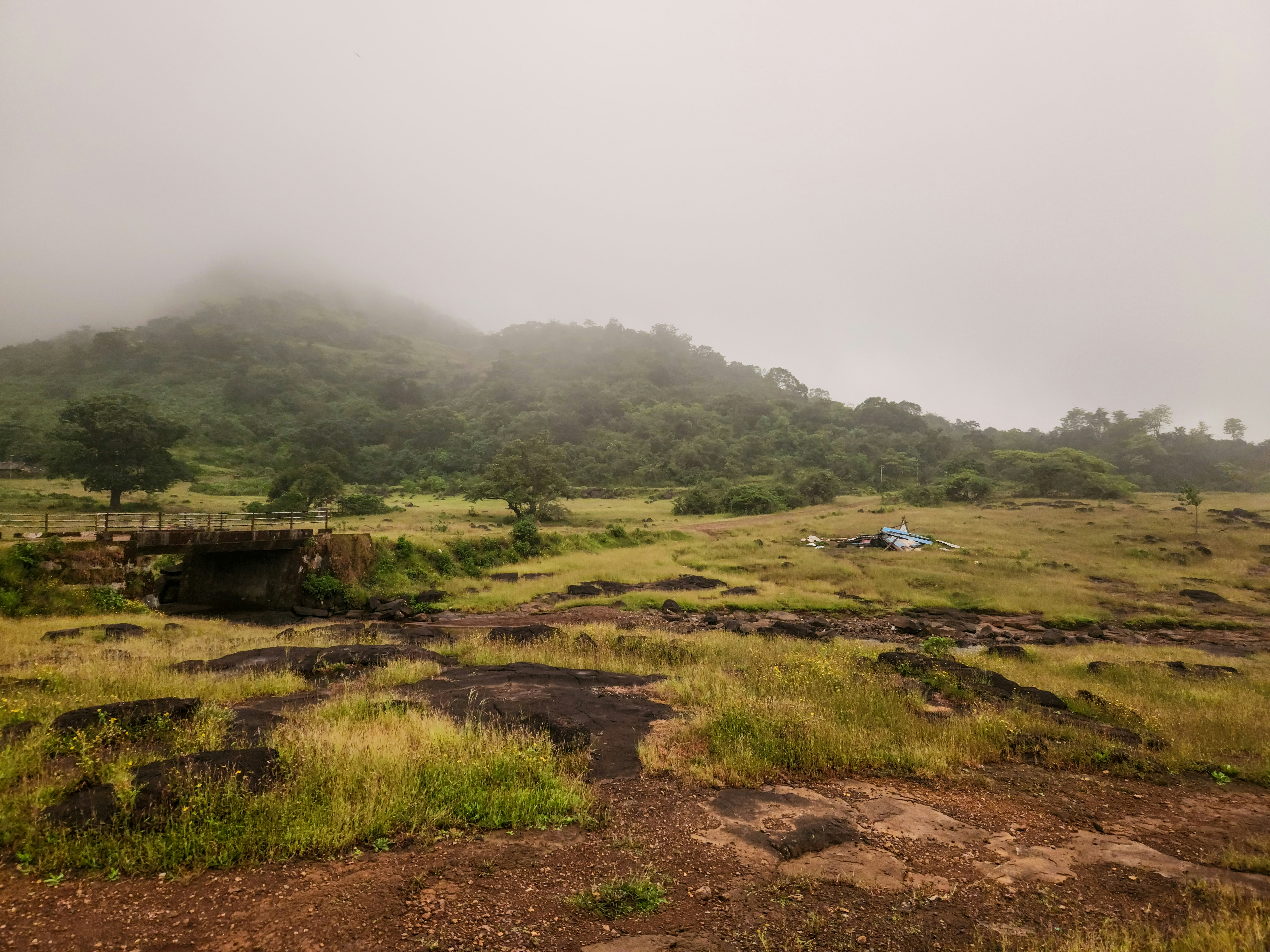 Photo by zoshuacolah