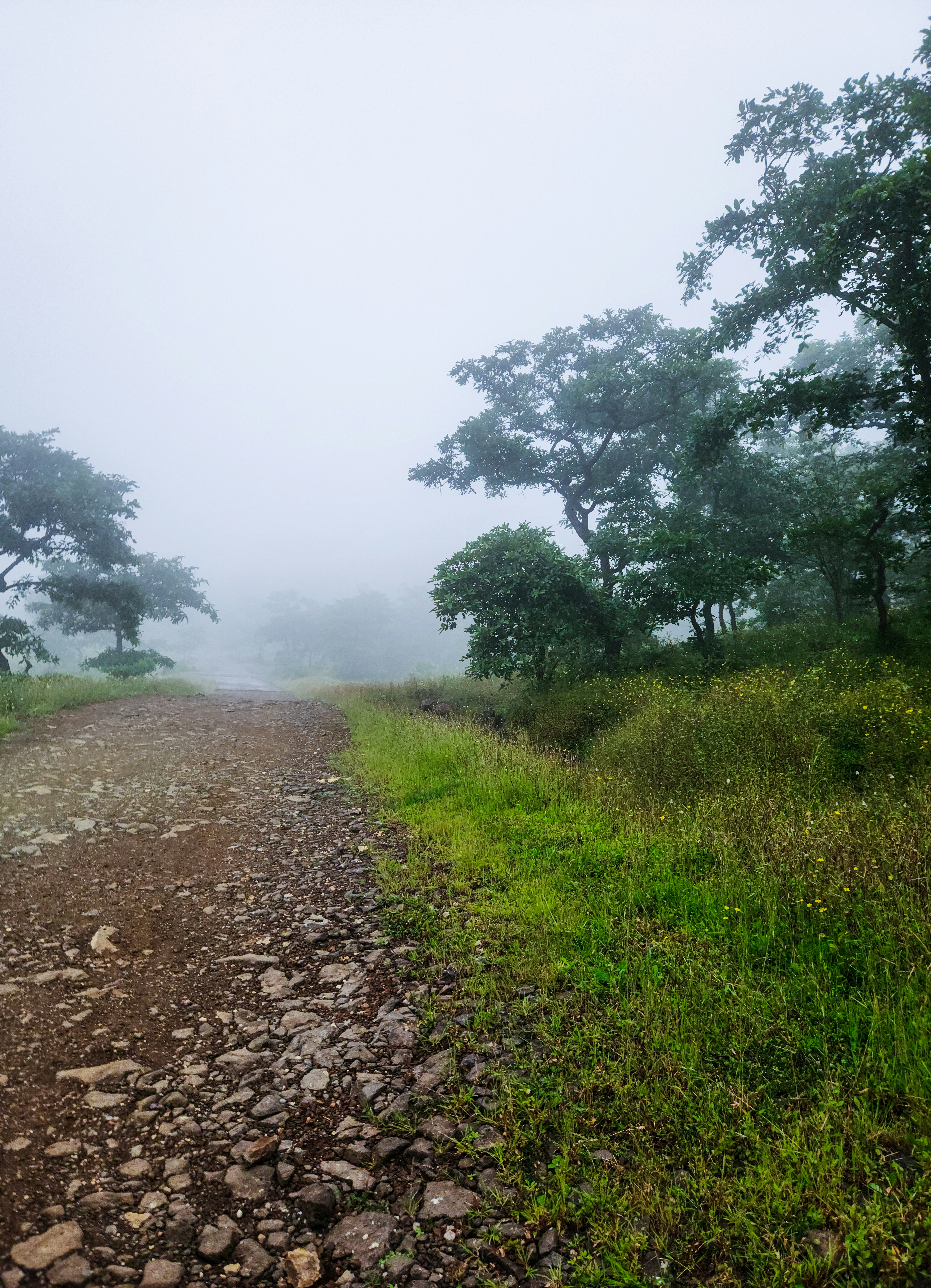 Photo by zoshuacolah