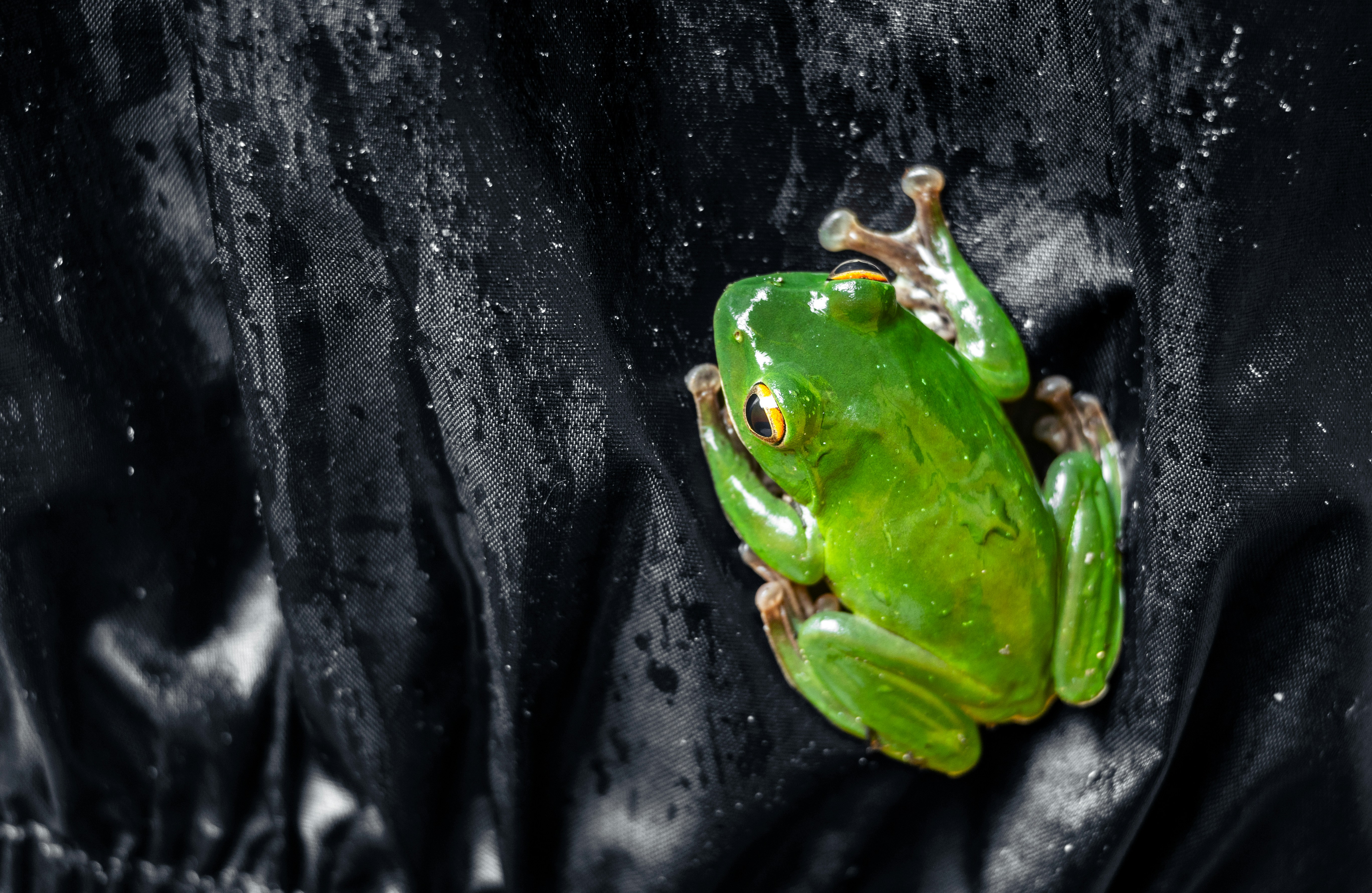 Photo by marekpiwnicki