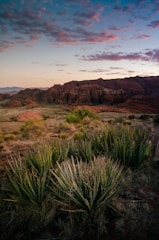 A desert landscape with mountains in the background