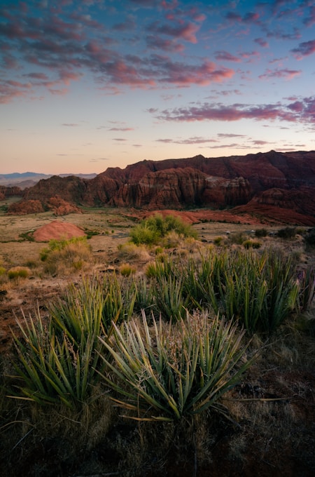 A desert landscape with mountains in the background