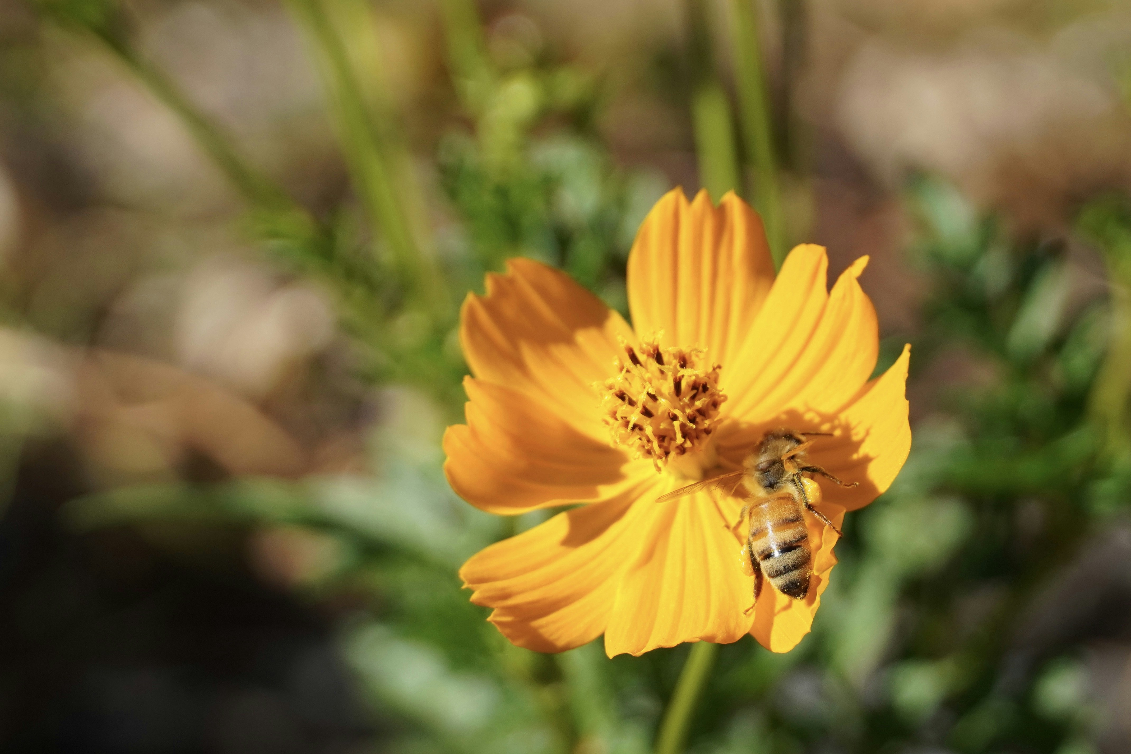 Photo by nicolepetersen