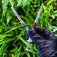 A gloved hand holding two sys in front of green plants