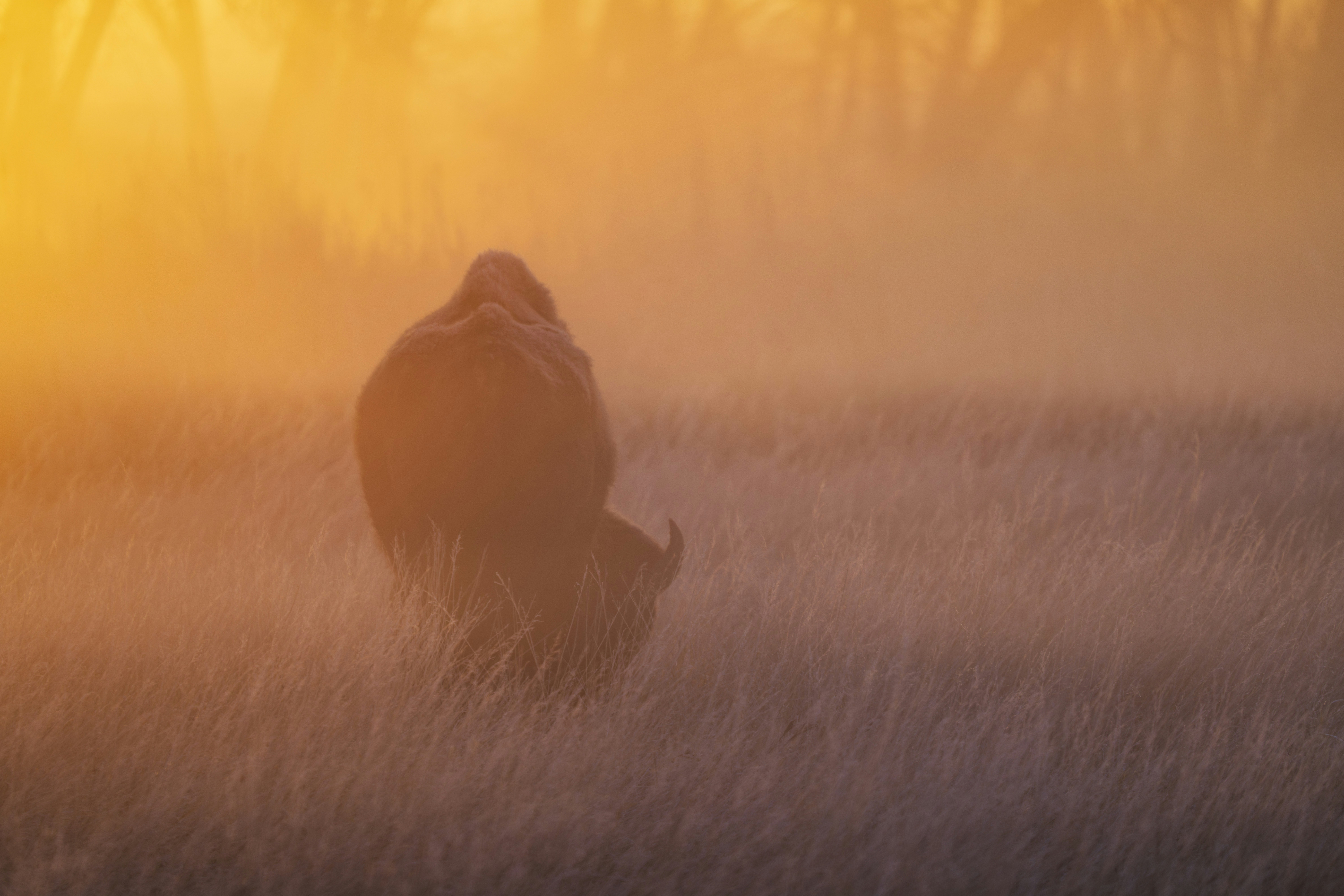 회사는 직원 자녀의 대학교 등록금을 지원해주나요? - 자녀 교육 지원 제도의 이해