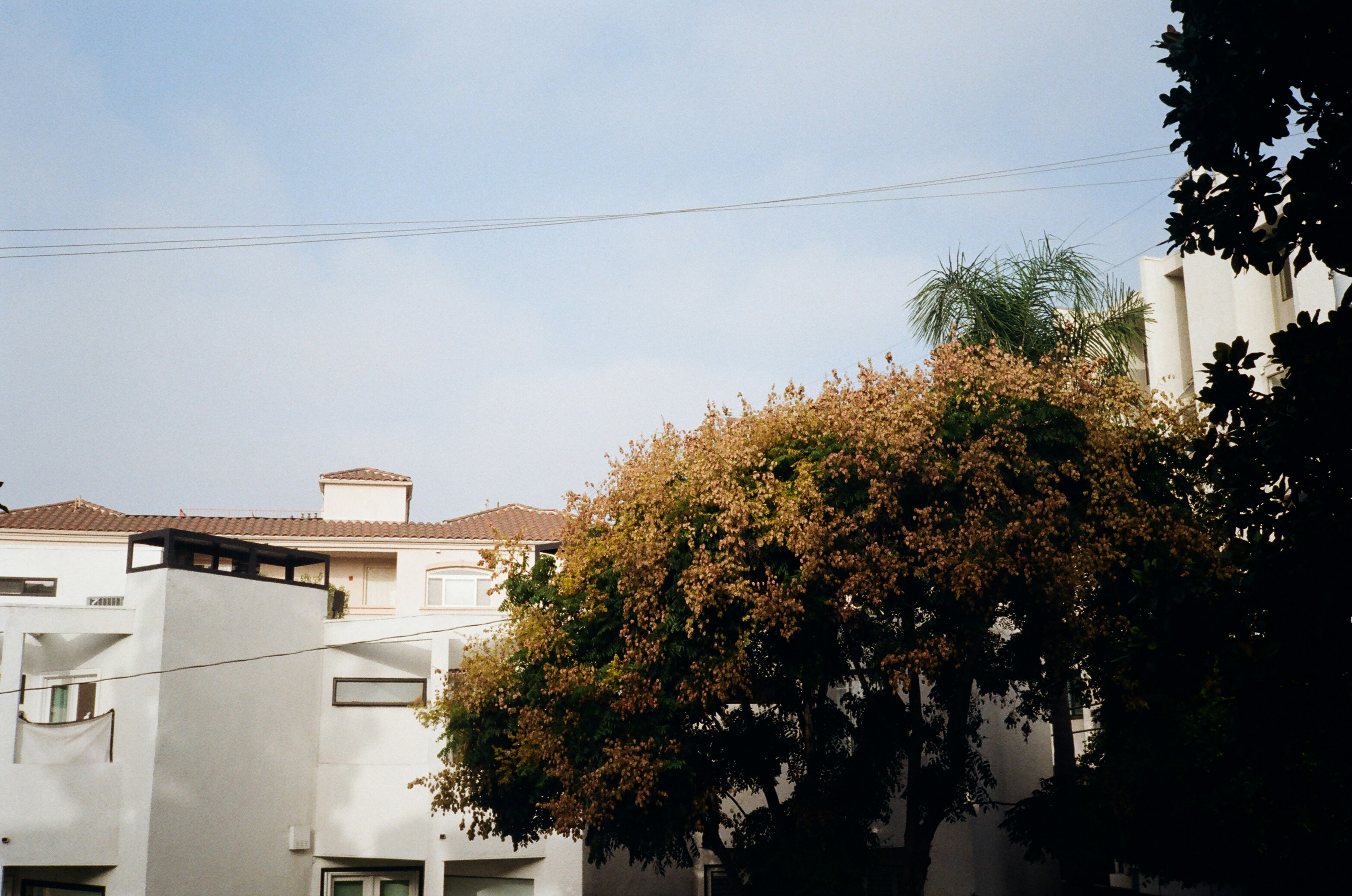 A stop sign in front of a row of houses
