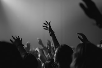 A crowd of people at a concert with their hands in the air