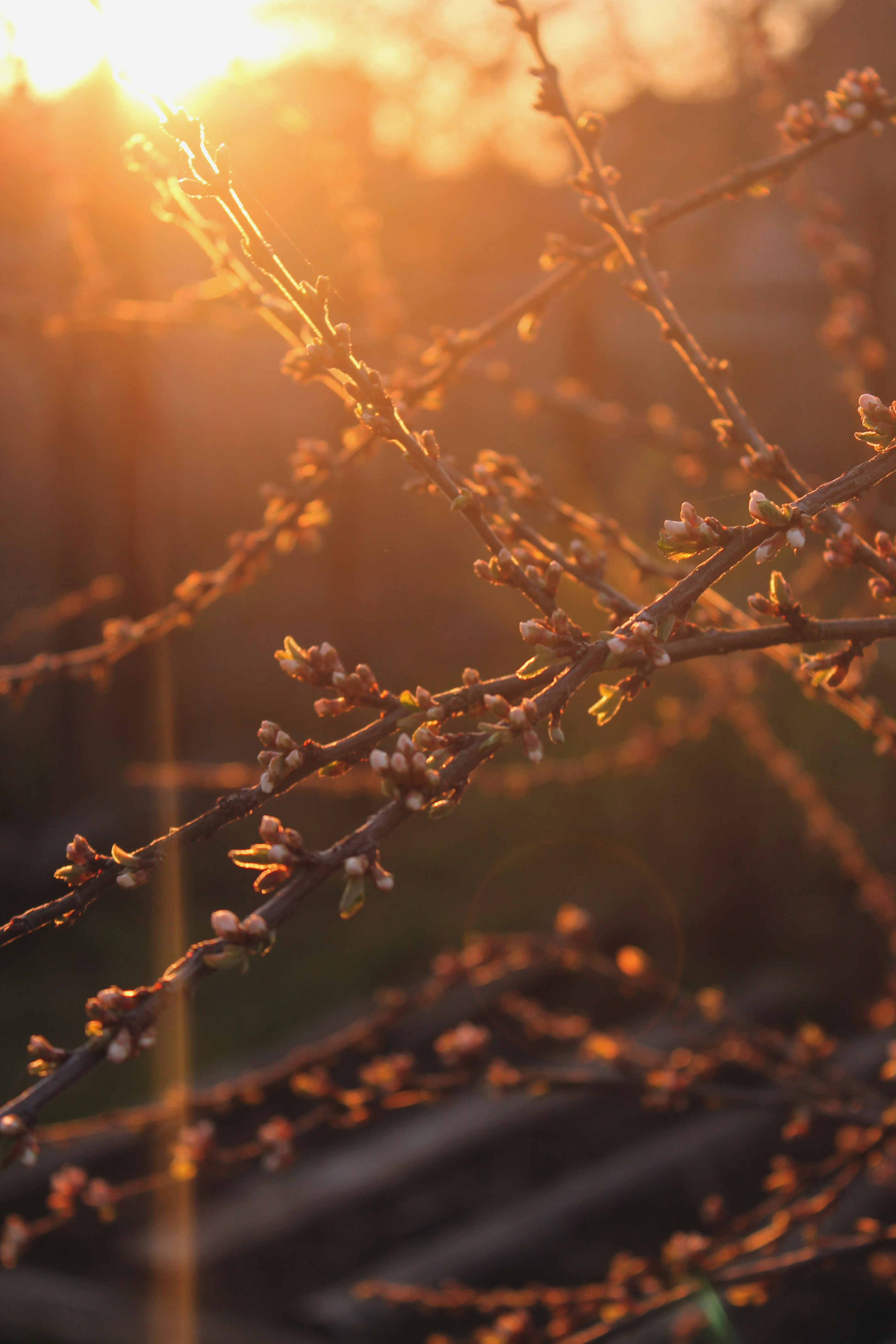 Photo by yellowdesigner