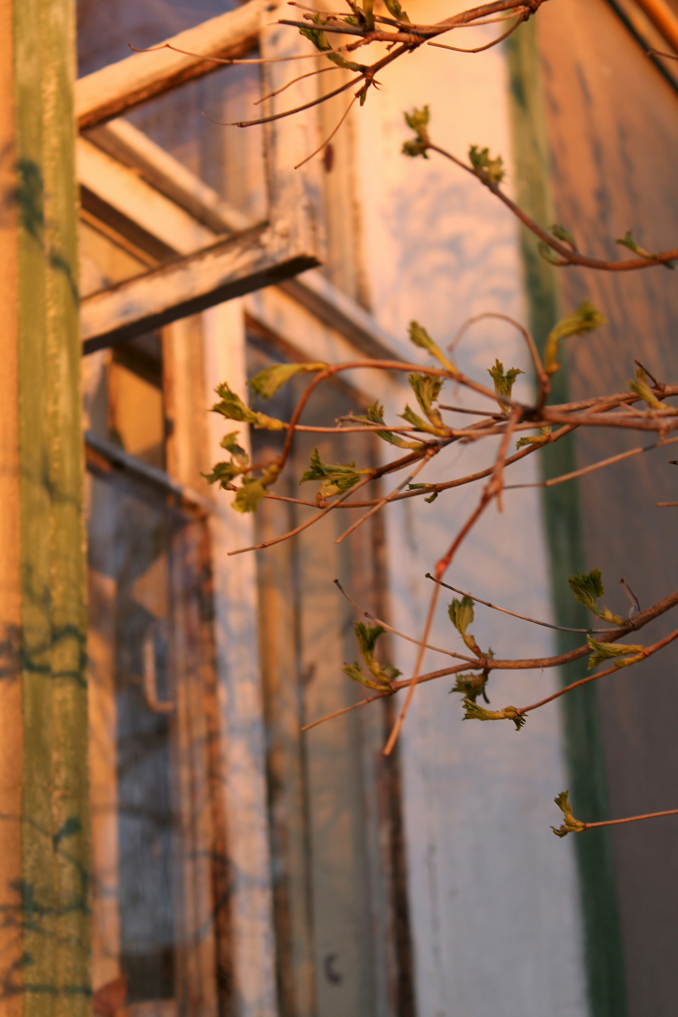 Photo by yellowdesigner