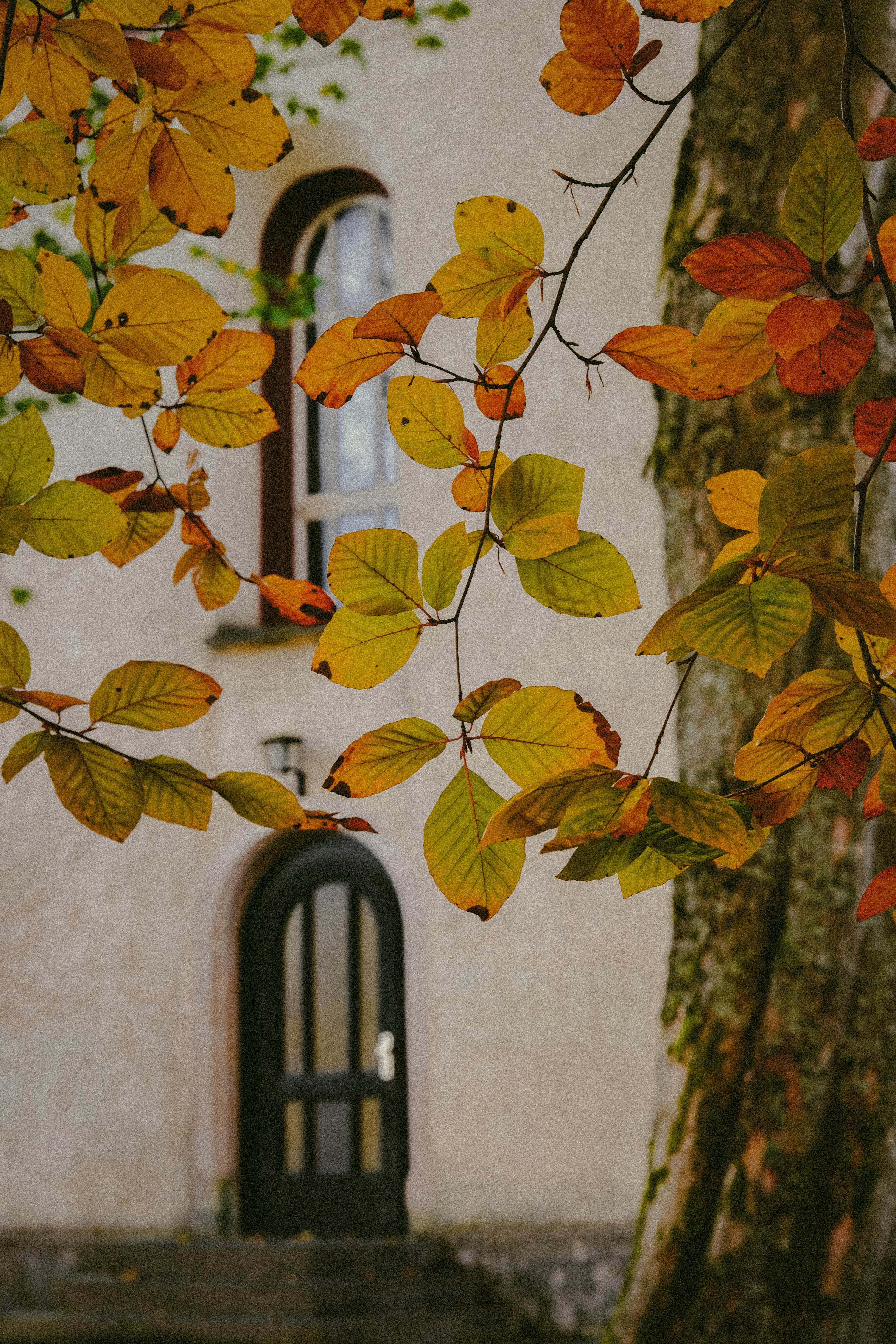 Photo by denisaficau