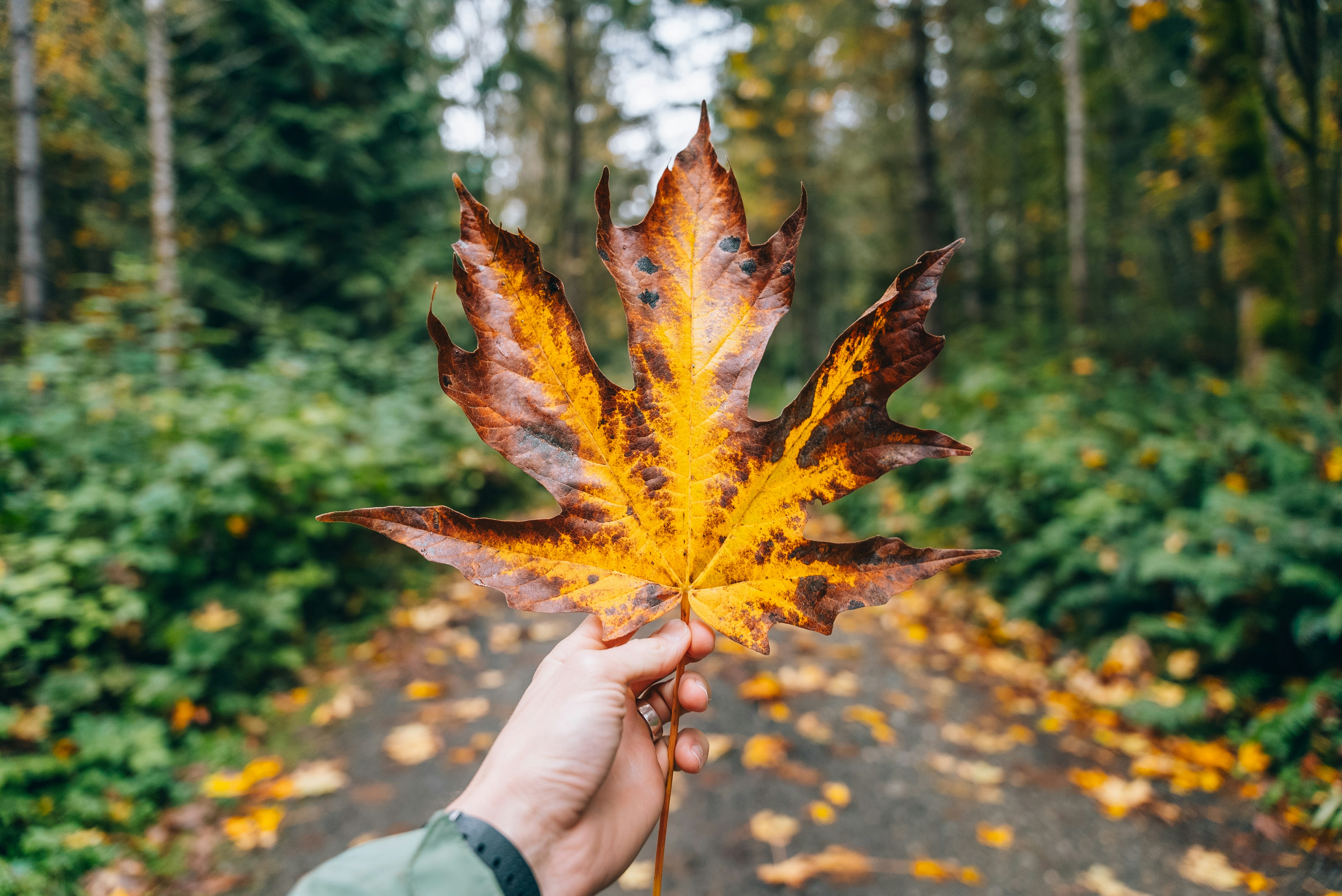 취약계층에게 나눔 제공된 음식: 나눔의 의미와 중요성