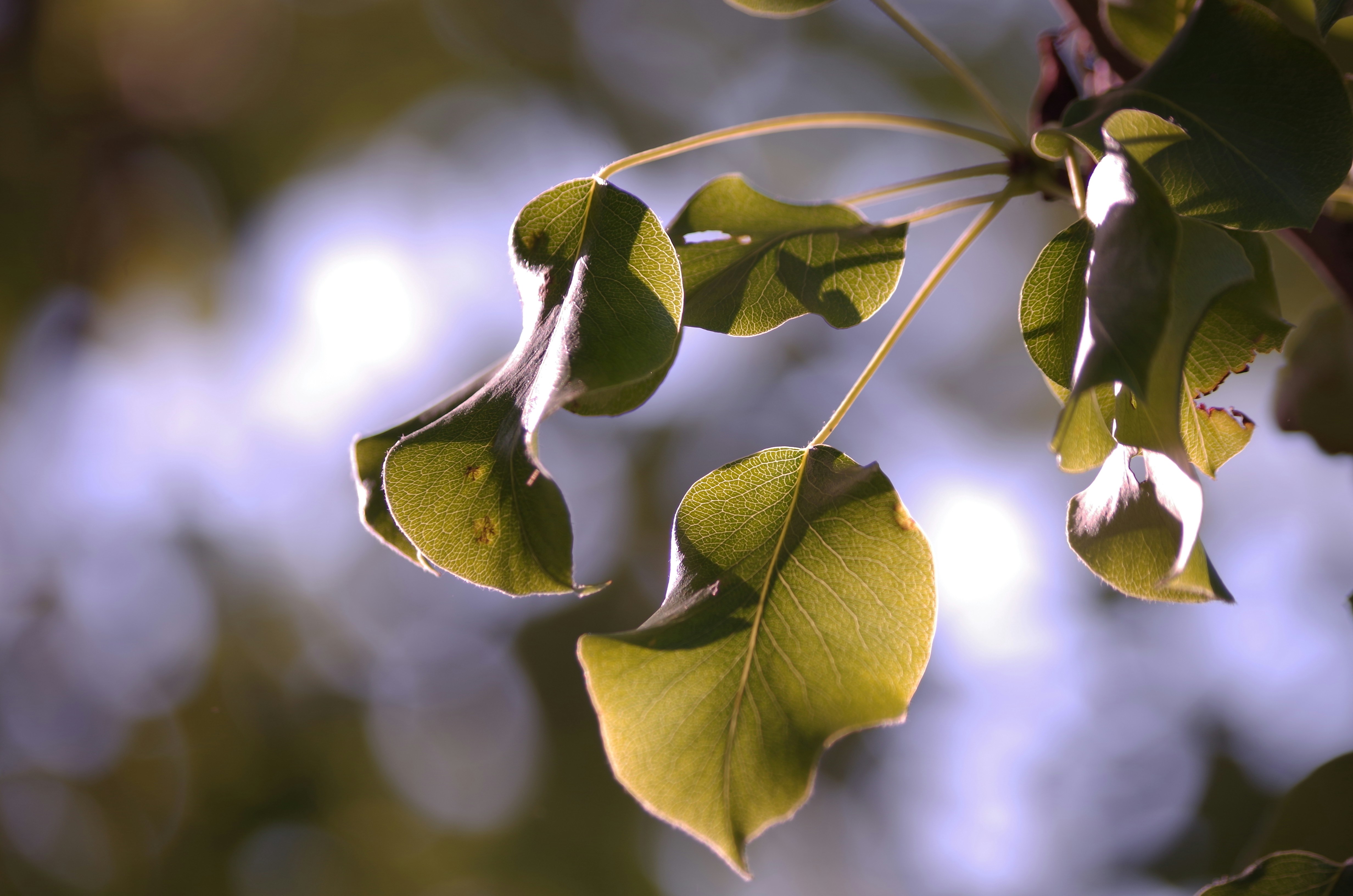 Photo by yellowdesigner