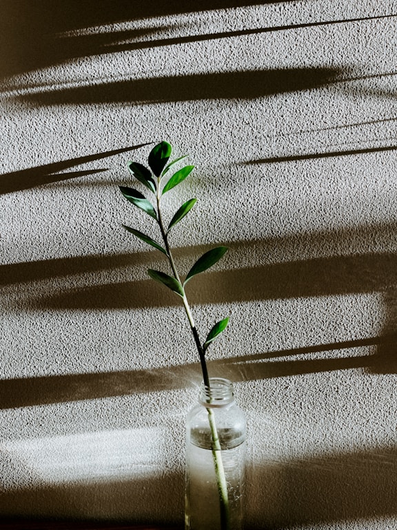 A small plant in a glass vase on a table
