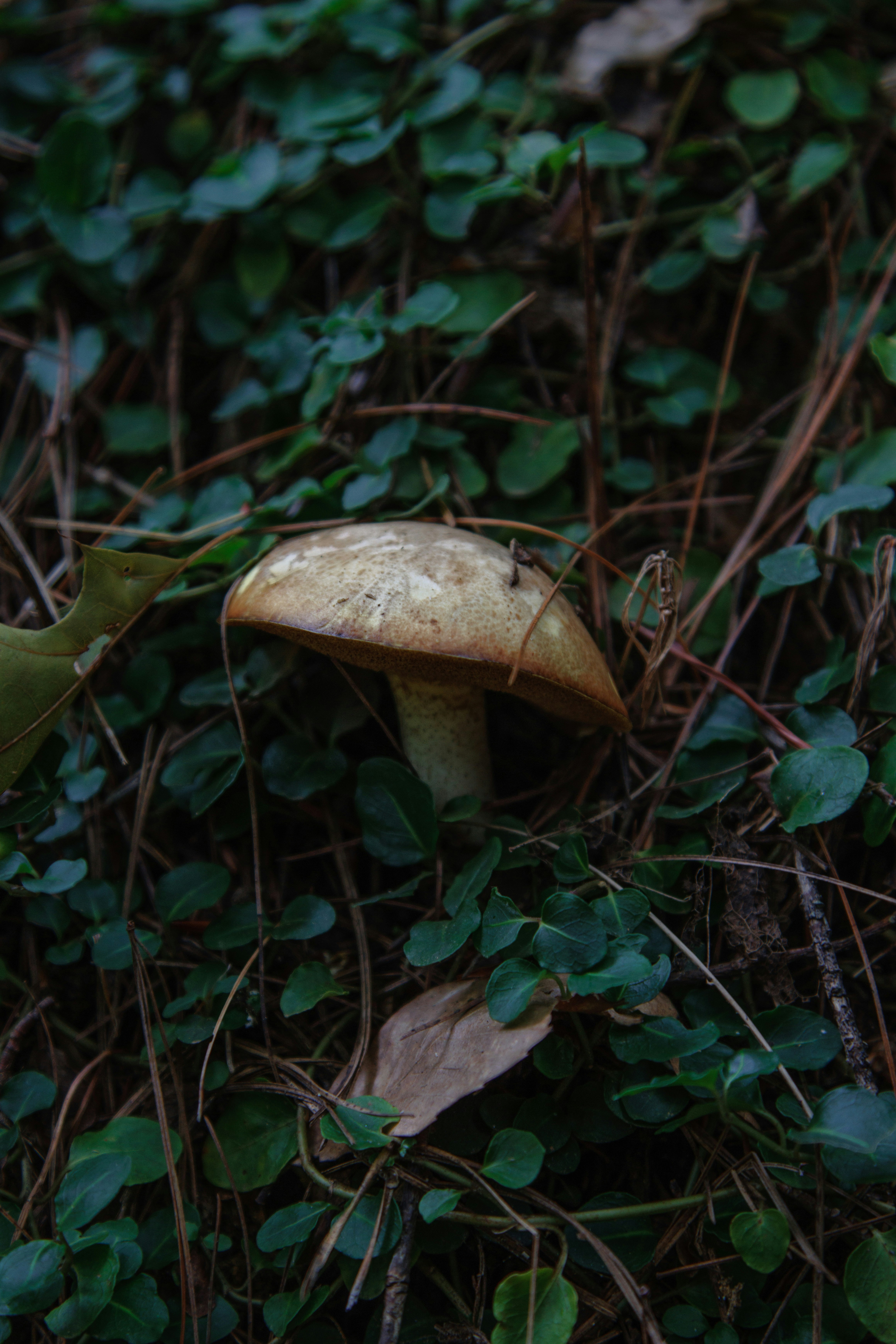 Photo by parkerdesignsss