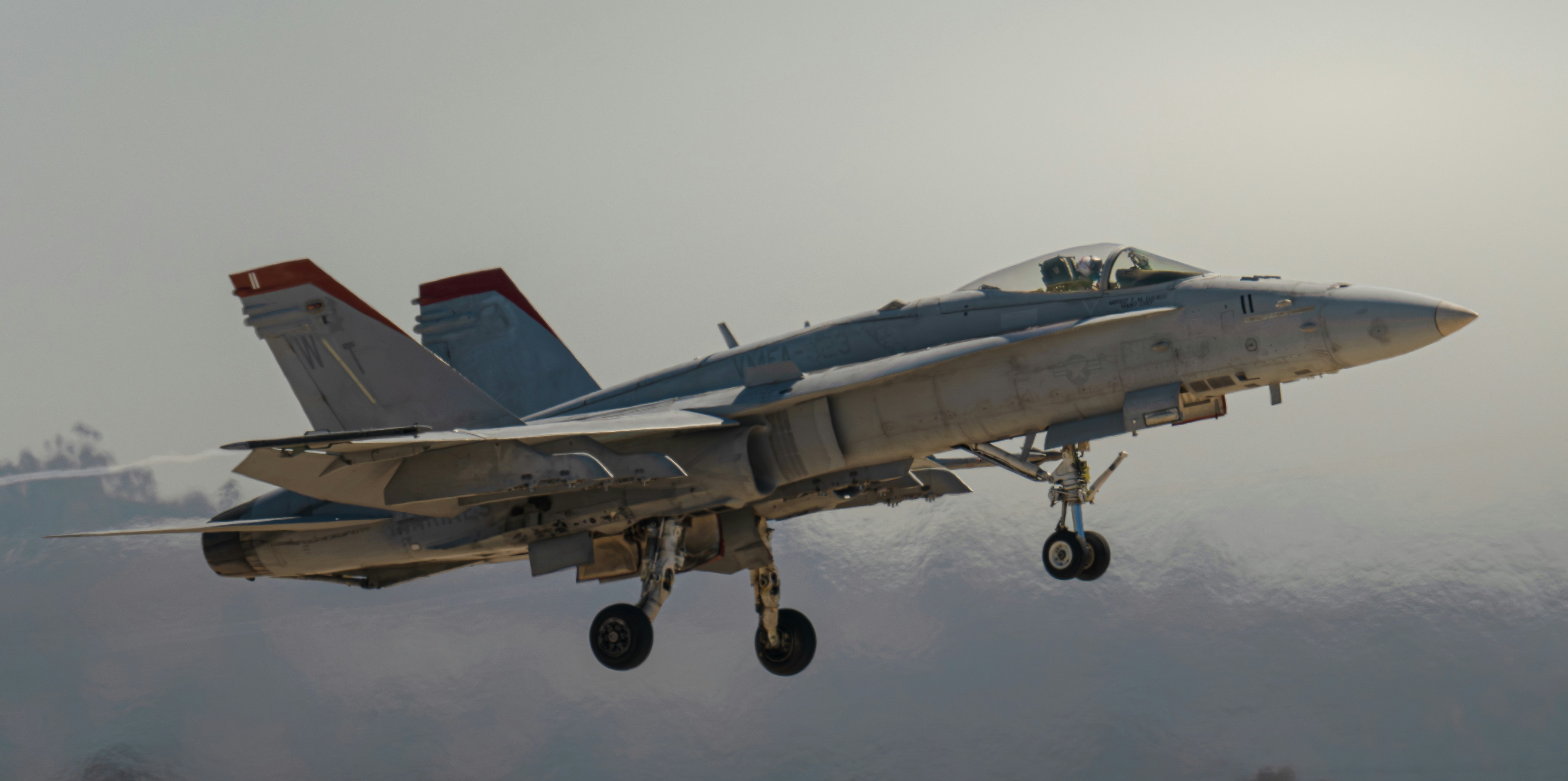 Photo by ccausse_images