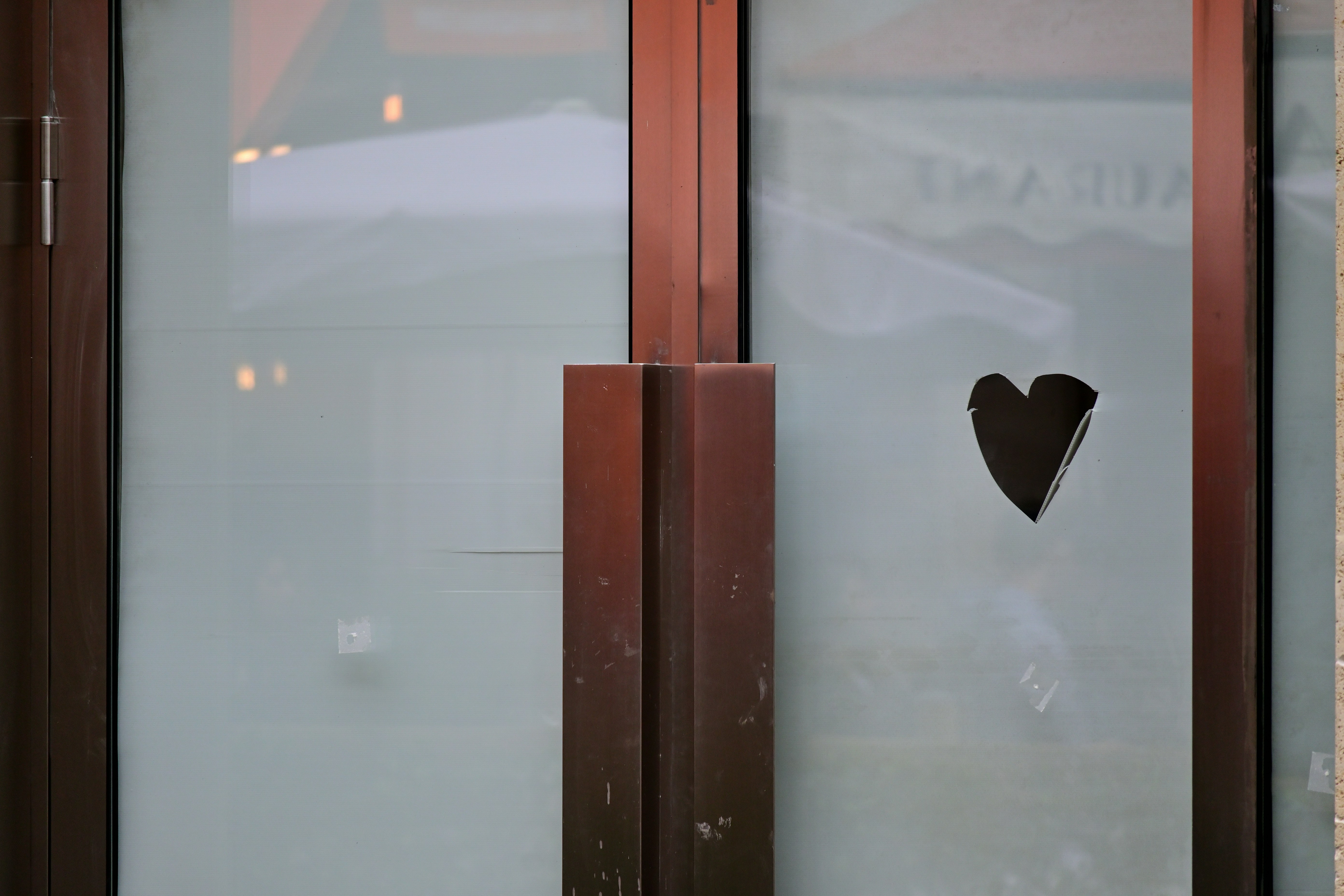 Photo by aminzabardast