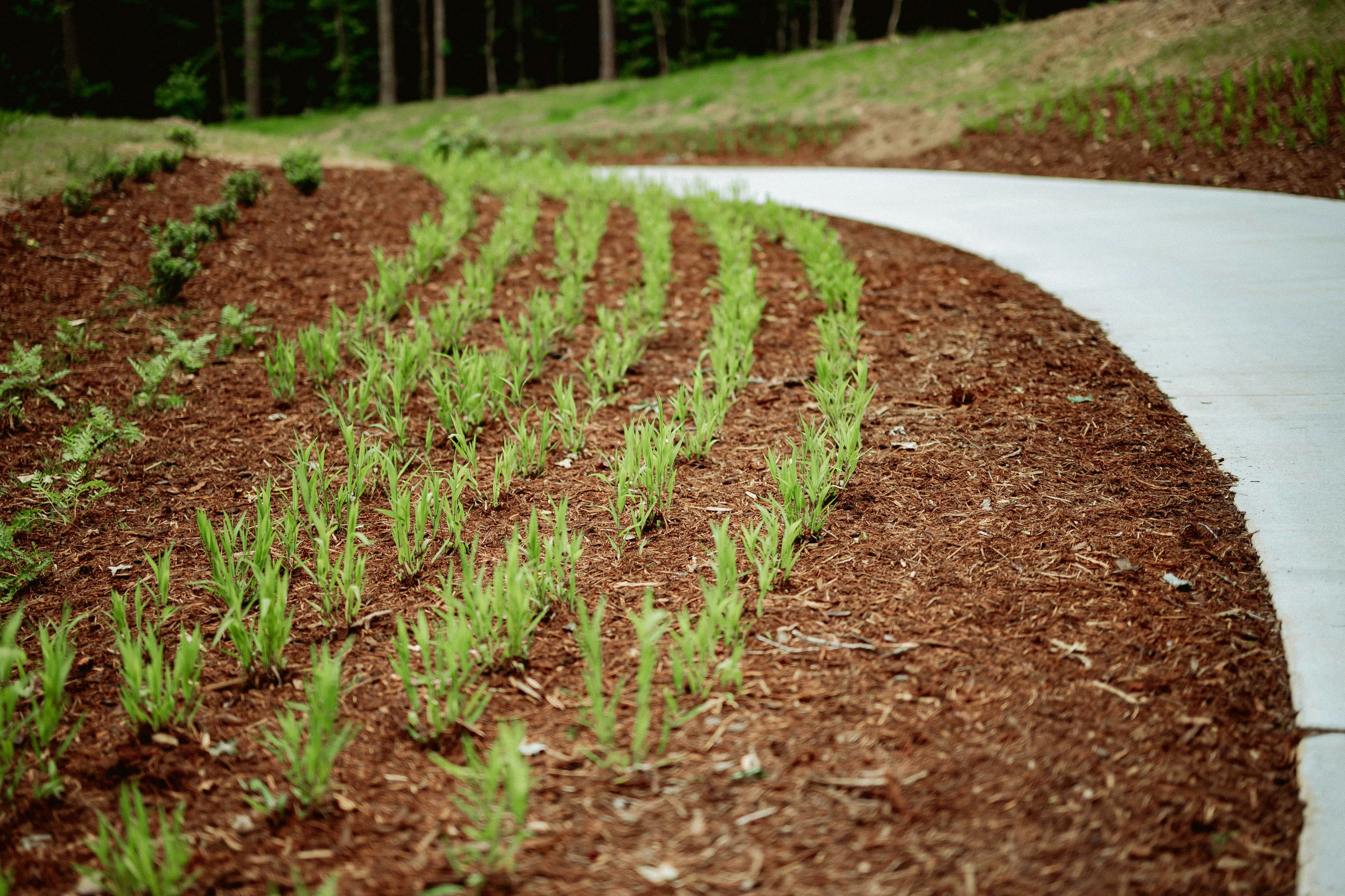 gray computer monitor
