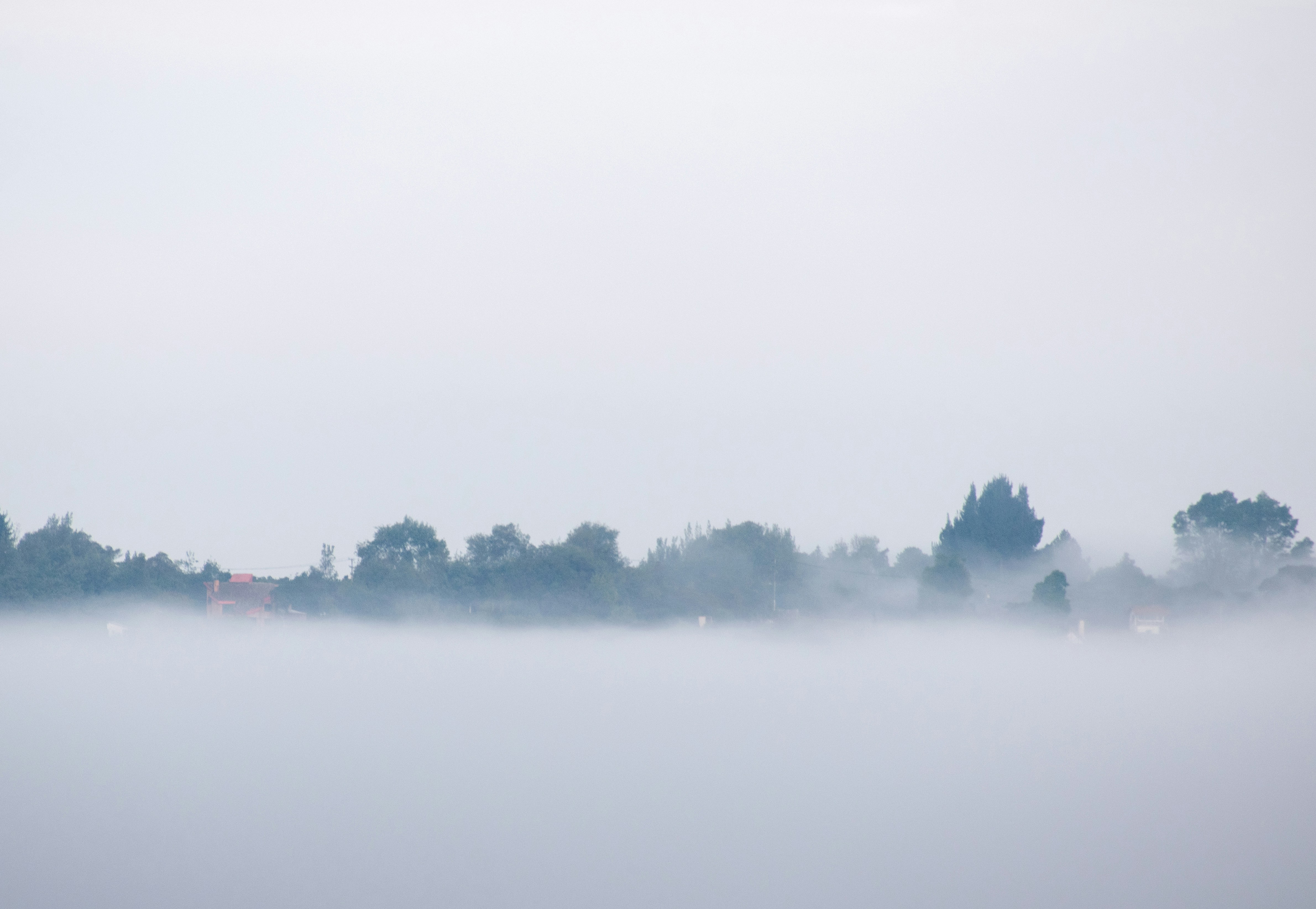 Photo by sebaslaverde_nkn